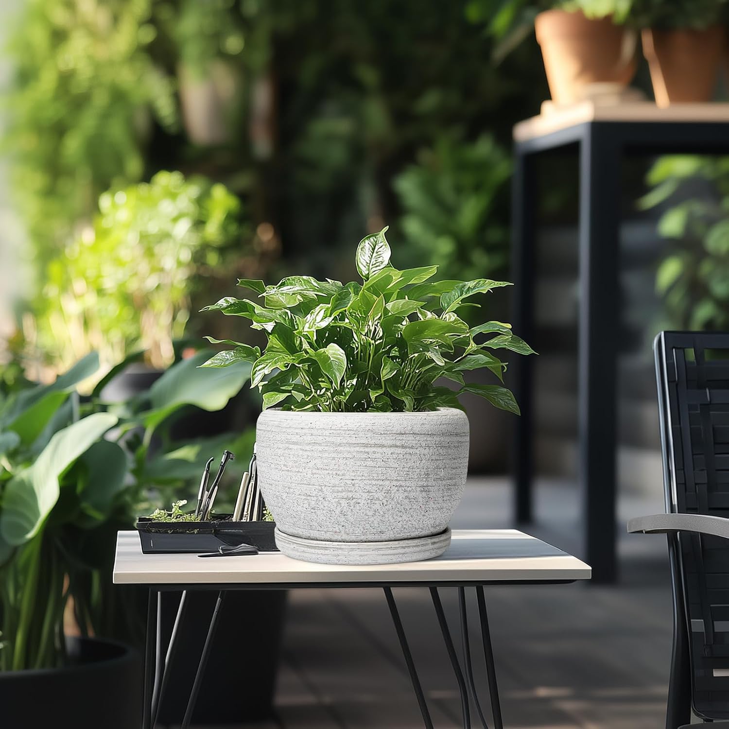 SQOWL Ceramic Plant Pots - 8 inch Planter for Indoor Plants, Round Flower Pot with Drainage Hole and Plant Saucer