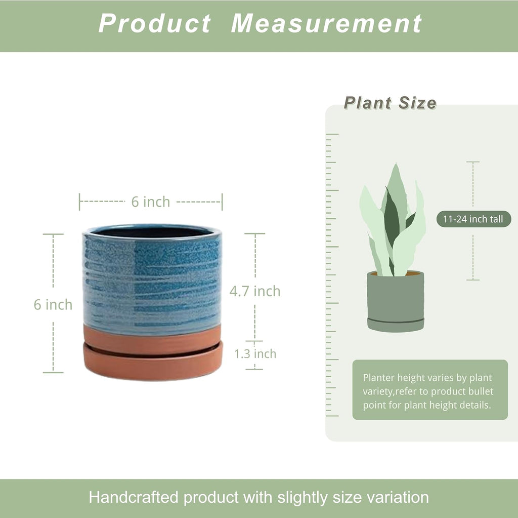 HERDUK 6 Inch Plant Pots, Ceramic Planter Pot with Drainage Hole & Saucer, Indoor/Outdoor Cylinder Round Planter Pot