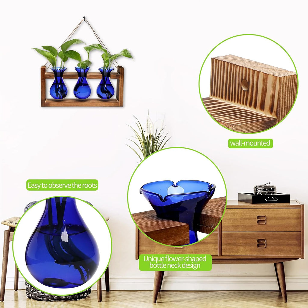 Plant Propagation Station Plant Terrarium Unique Birthday Gifts for Women | Plant Lovers Home Office Decor Planter with
