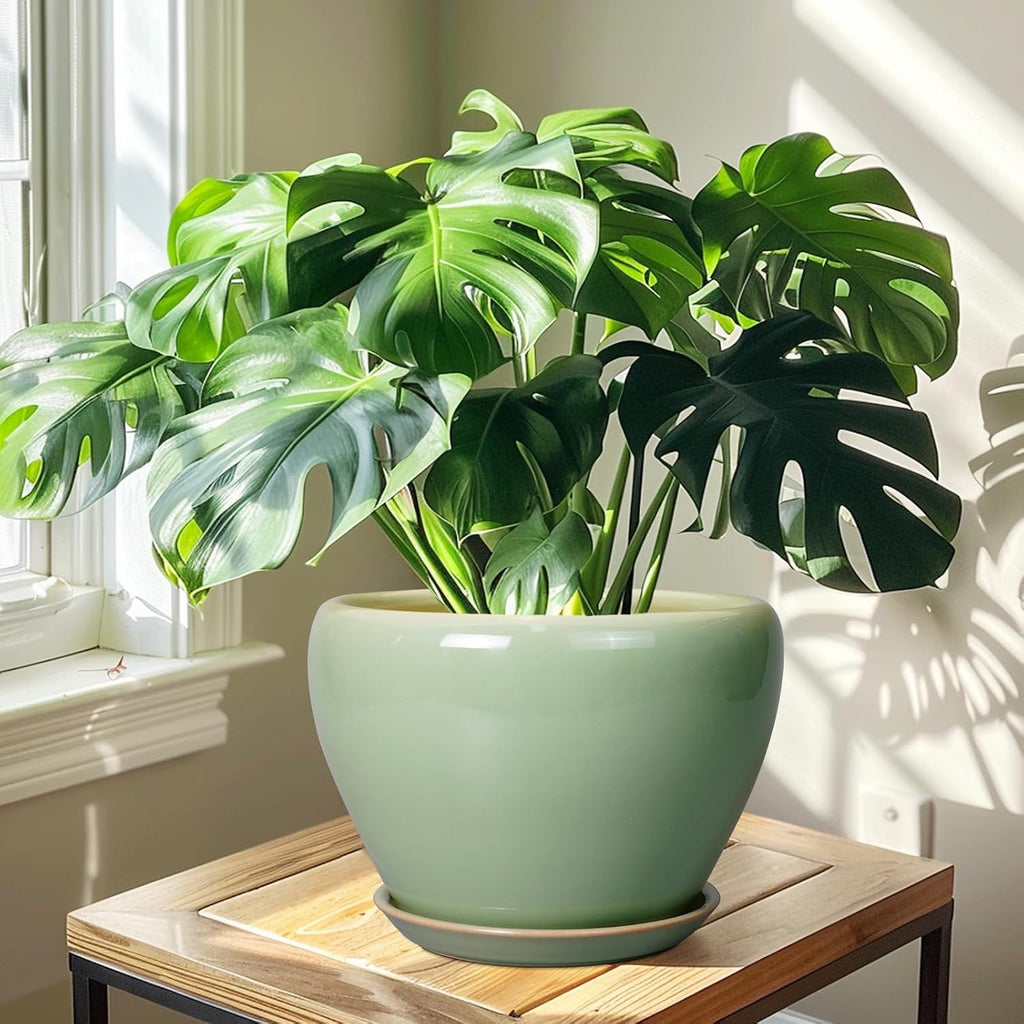 Ceramicfor Ceramic Planter Pot - 10 Inch Plant Pot for Indoor Plants Decorative Planter with Drainage Hole and Saucer