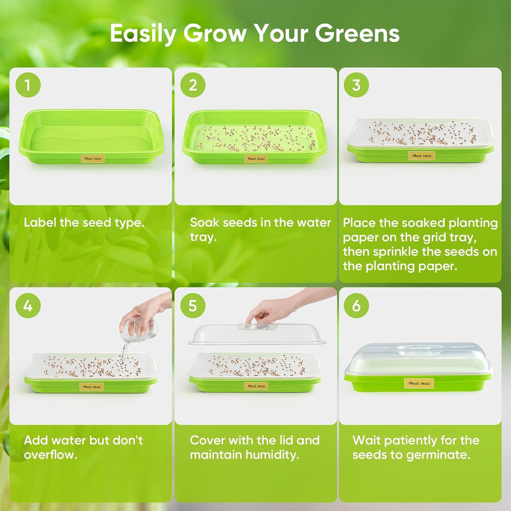 6 Pack Green Seed Sprouter Trays with Lid, Soil-Free Cultivation Germination Tray, Nursery Tray with Planting Paper for