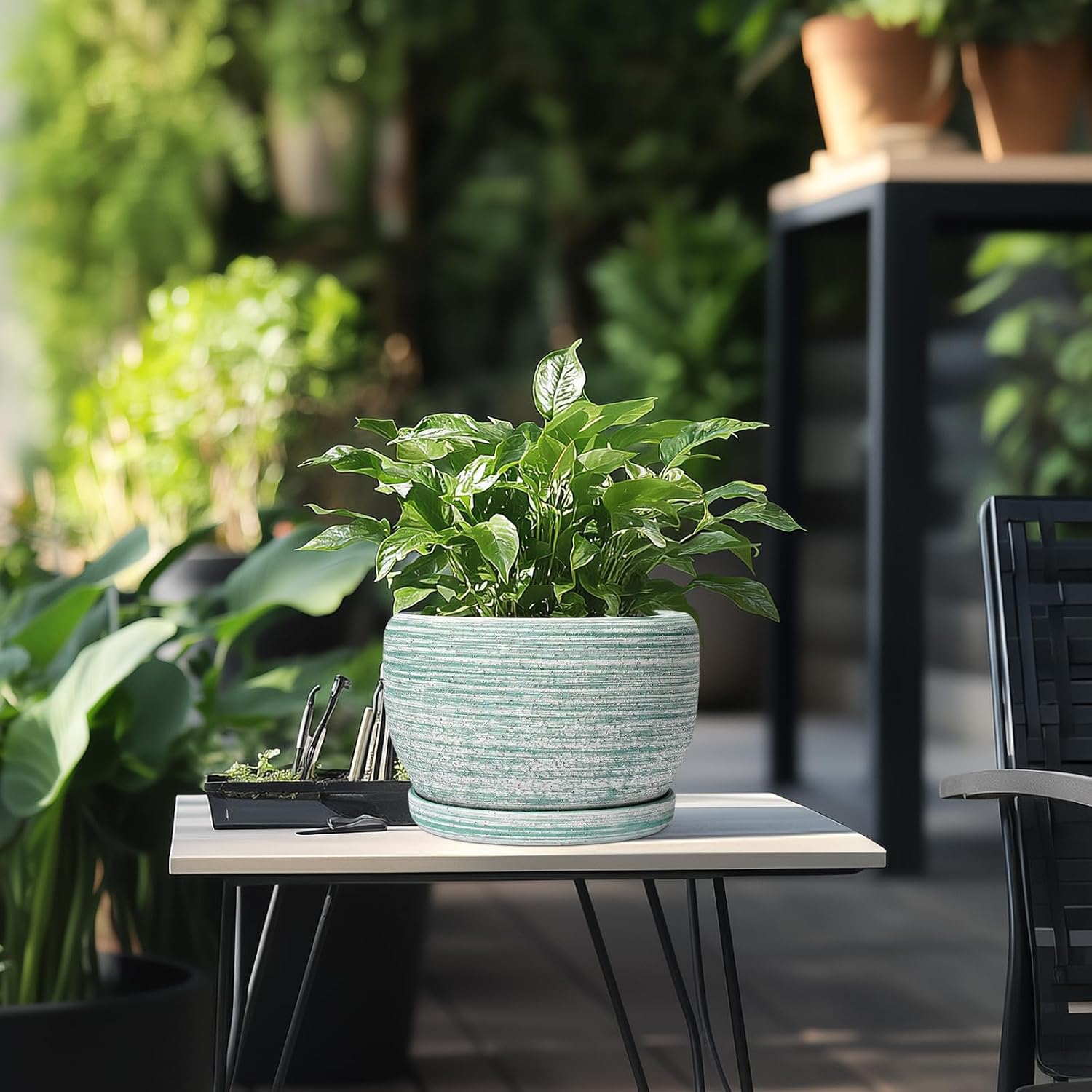 SQOWL Ceramic Planters for Indoor Plants - 8 inch Plant Pot Outdoor, Ceramic Flower Pot with Drainage Hole and Saucer