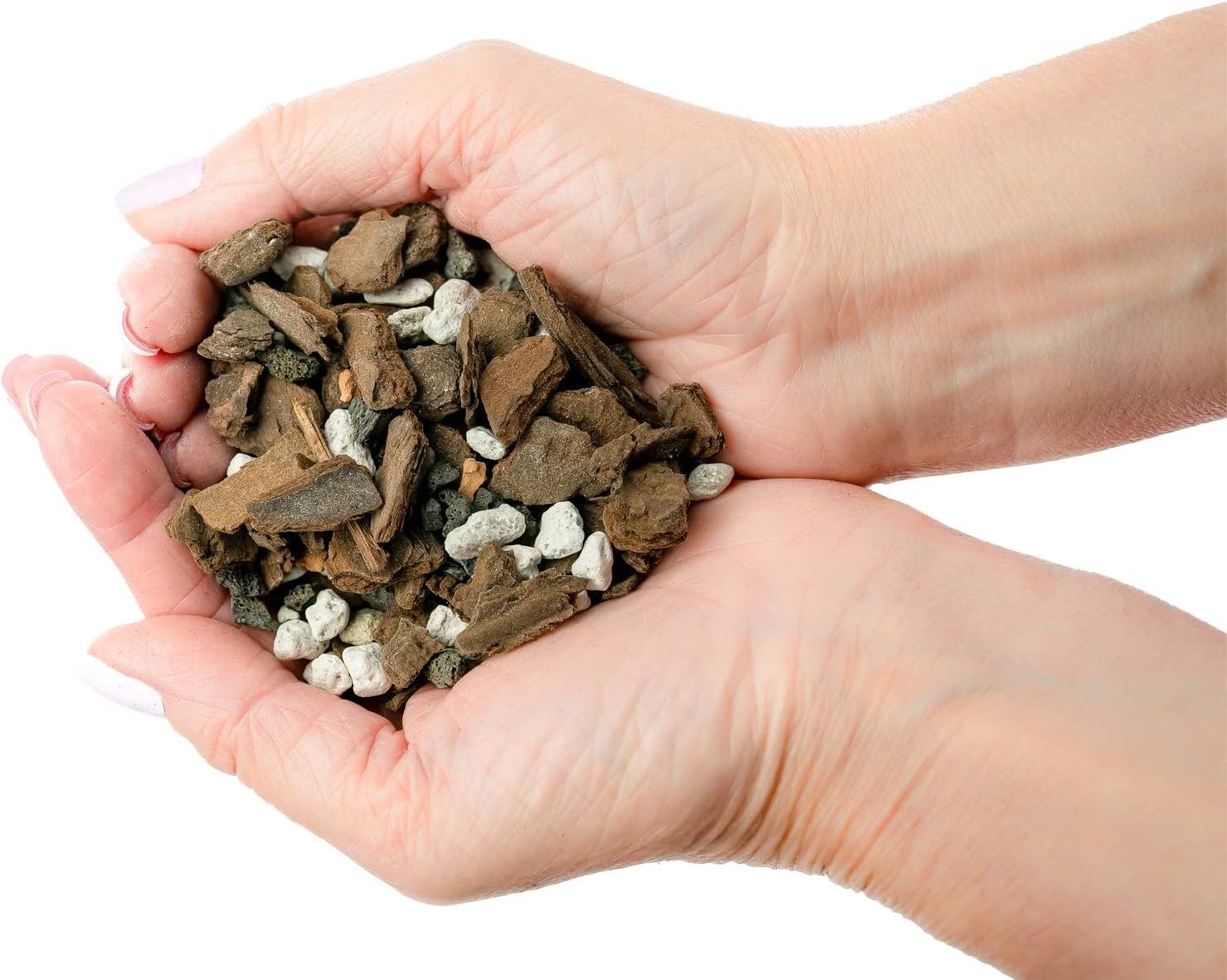 Premium Bonsai Soil All Purpose Fast Draining Mix - Pumice, Lava, Calcined Clay and Pine Bark Potting Pre Mixed Bonsai