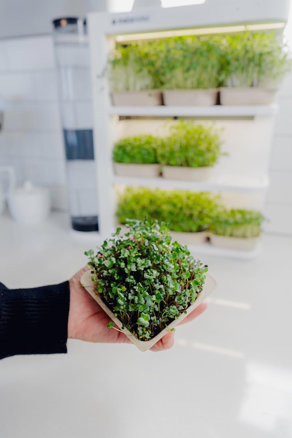 Indoor Garden, Fully Automated LED Growing Unit for Microgreens, Herbs, Leafy Greens, Organic Soil-Based, Low/No