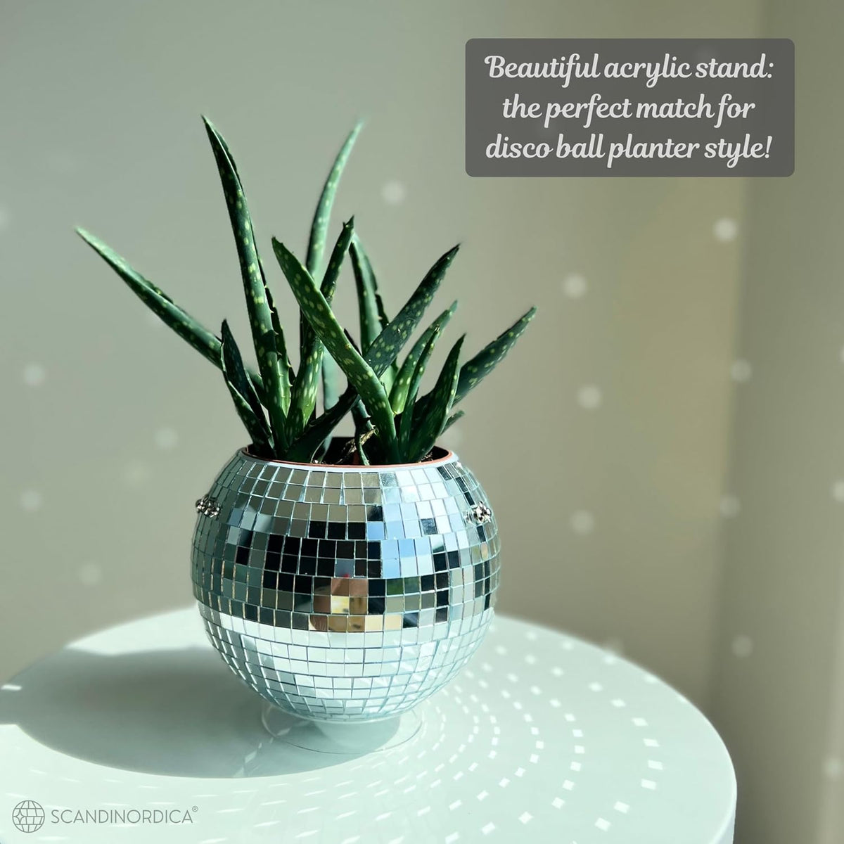 Disco Ball Planter – Value Package: Disco Pot with Chain, Macrame Hanger, Acrylic Stand and Self Watering Insert | 6