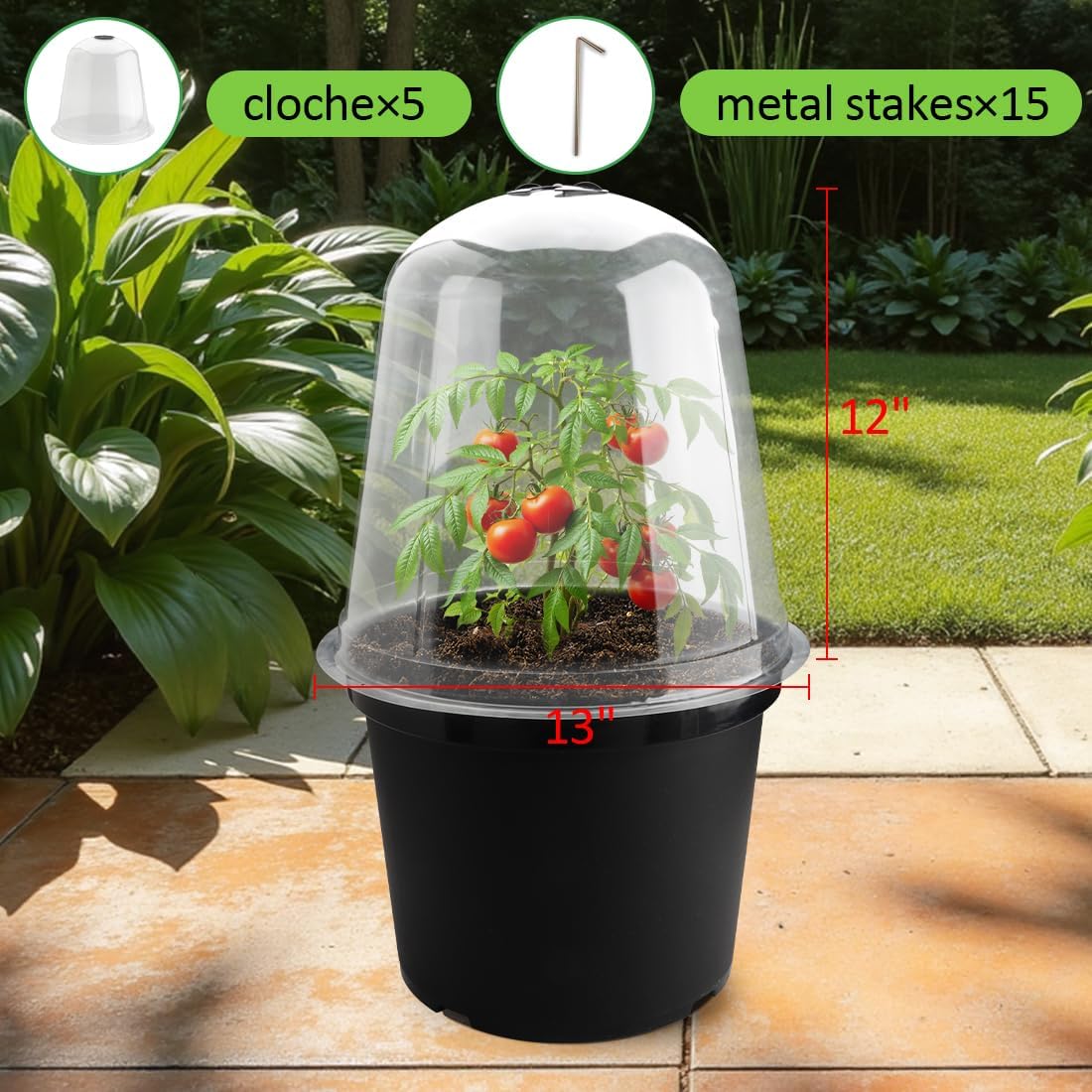 RooTrimmer 13 Inch Humidity Domes Garden Cloches for Plant Protection, Protectors from Animals, Garden Clear Plant