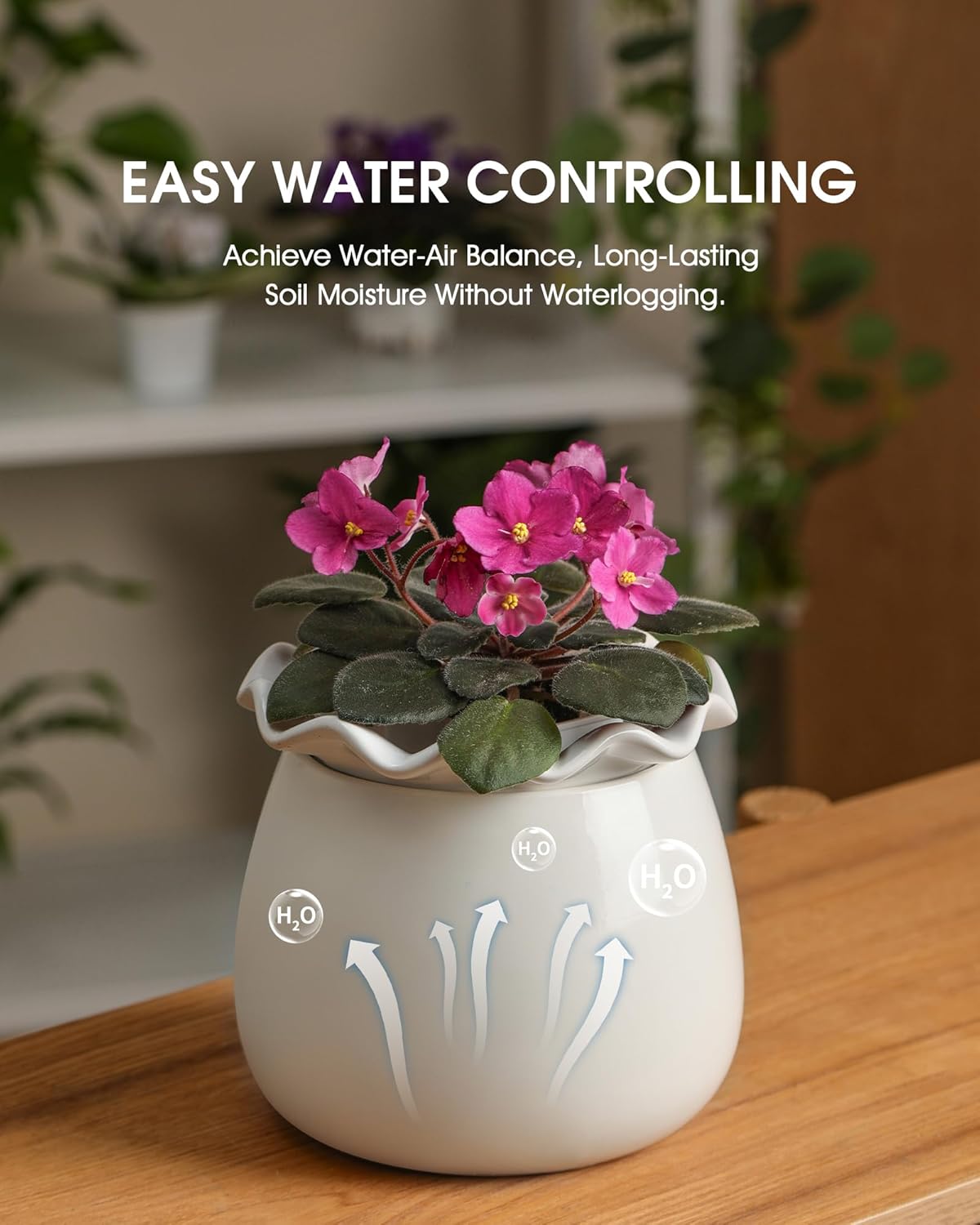 Fayoula Self Watering Plant Pot, 6 Inch African Violet Pots Maintenance, Ceramic Self-Watering Planter for Indoor