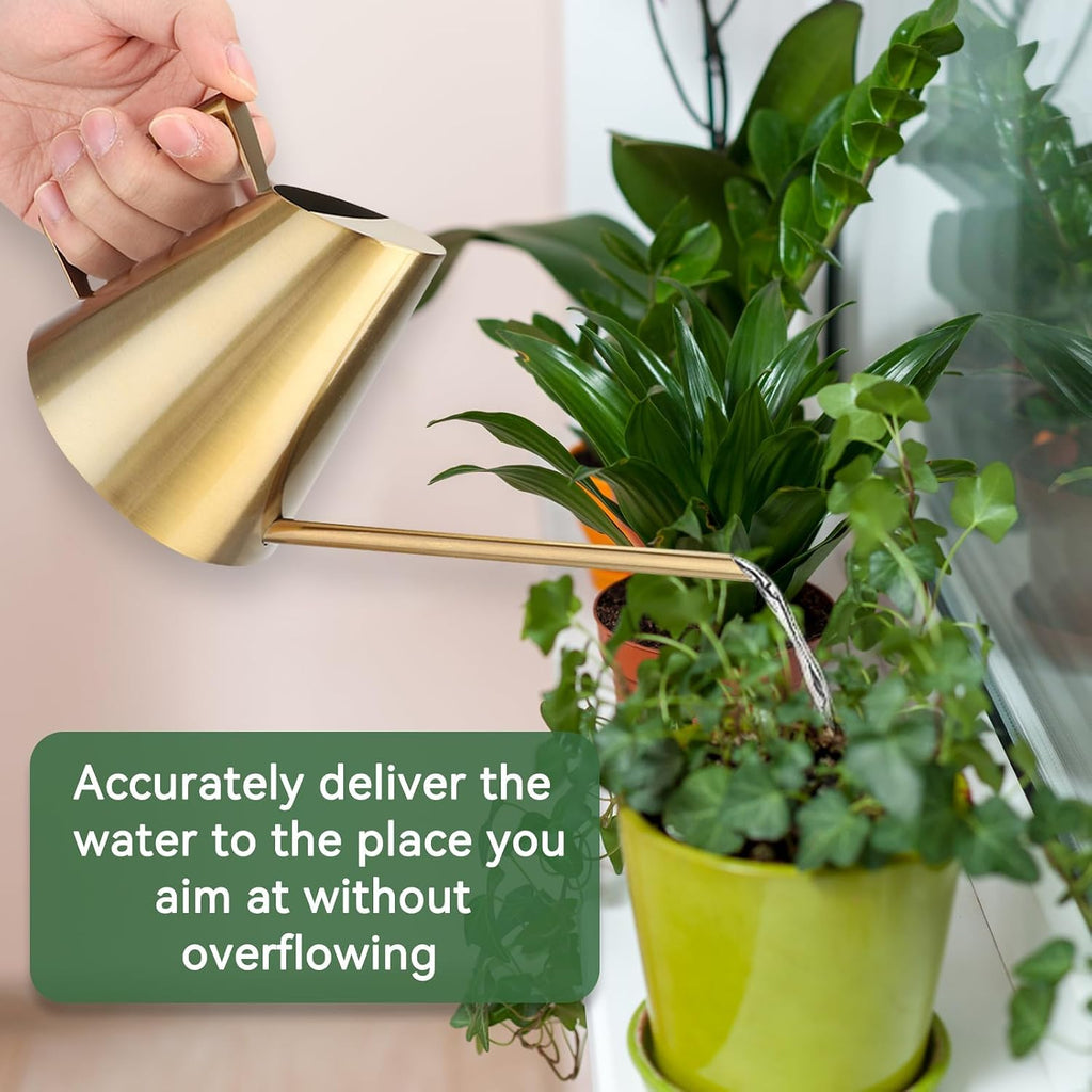 Watering Can for Indoor Plants, 13.5 Oz/400 Ml Indoor Plant Watering Can Stainless Steel Small Water Cans with Long