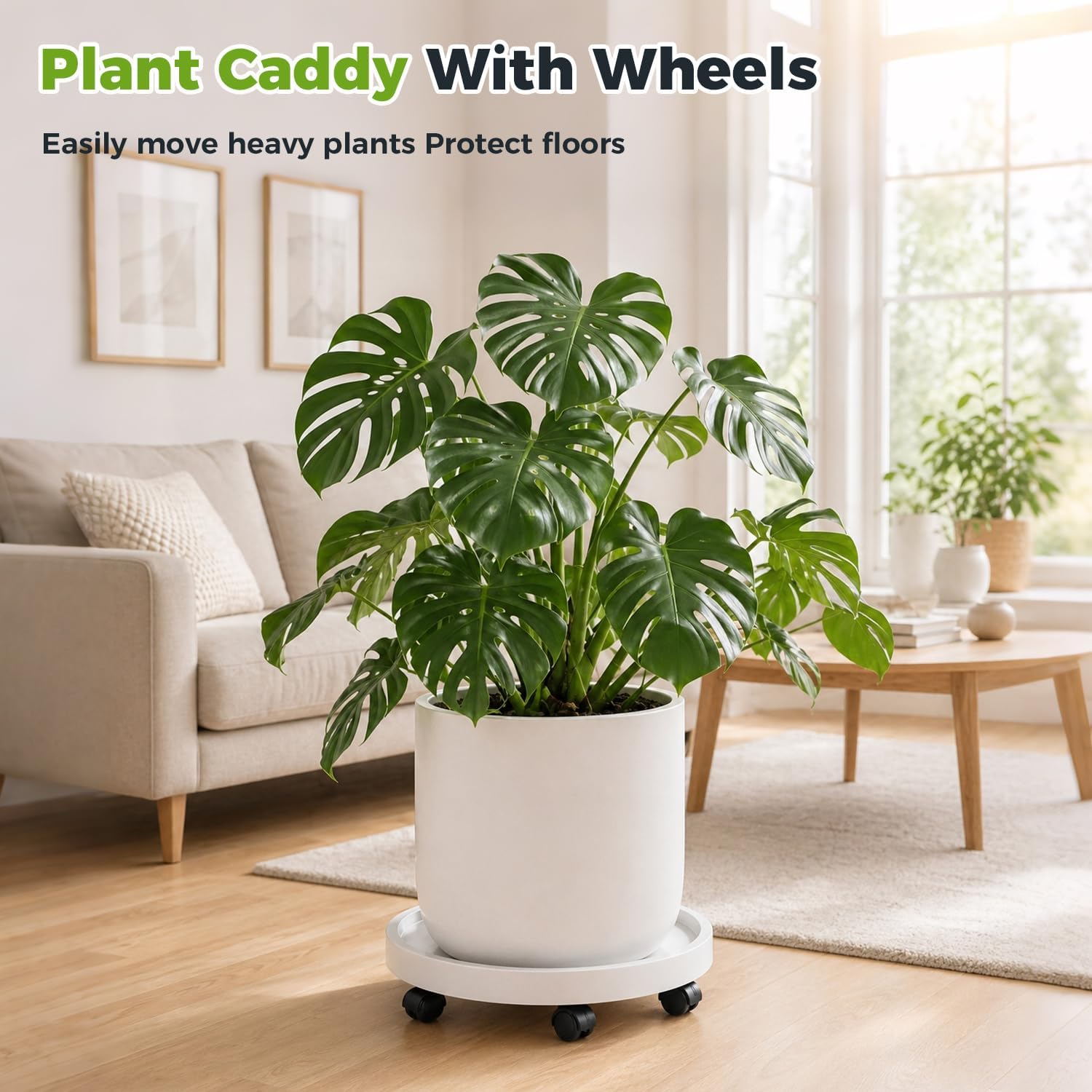 5 Pack Plant Caddy with Wheels Rolling Plant Stand with Wheels 10 Inch Plant Dolly Heavy Duty Large Potted Plant Mover
