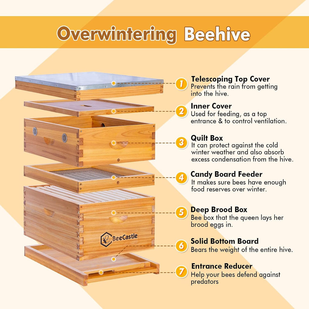 BeeCastle Bee Hive Quilt Box for Bees, Assembled Winter Quilt Box – Beekeeping Insulation & Ventilation Box, Fits 10