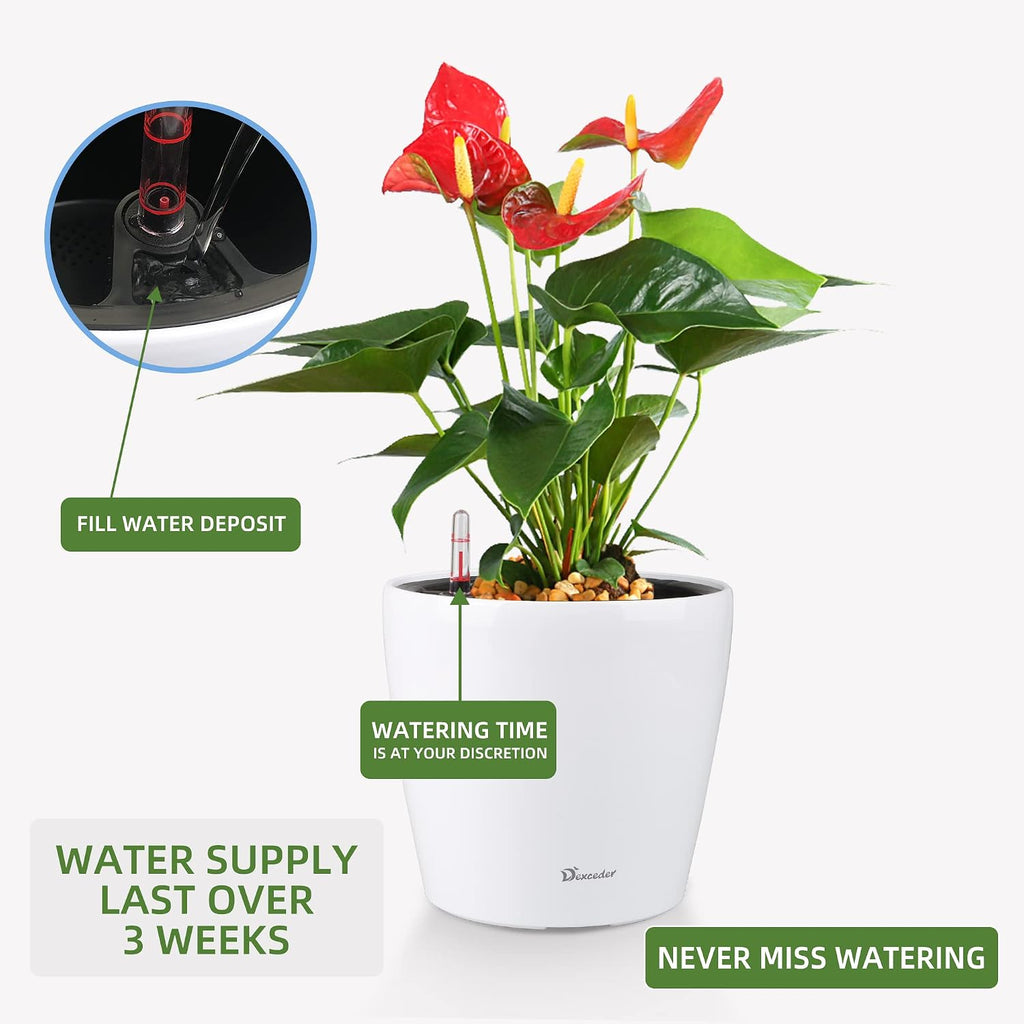 Dexceder 9x8 Self Watering Planter (White High Gloss) | Inner Pot Design, Thickened Table Flower Plant Pot with Water