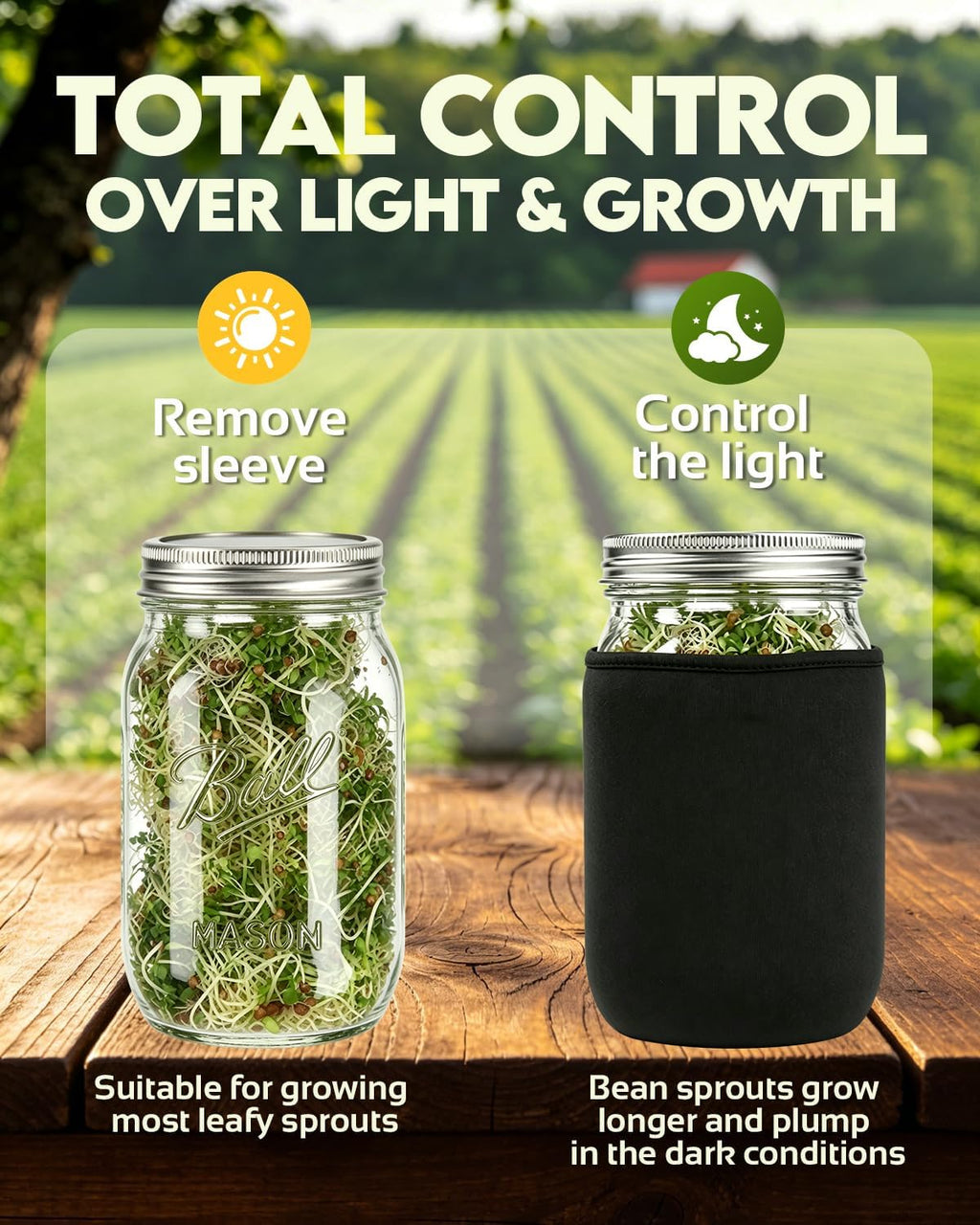 Seed Sprouting Jar Kit & Green Onion Regrower – 6 Regular Mouth Mason Jars with Stainless Steel Sprout Lids, Stand