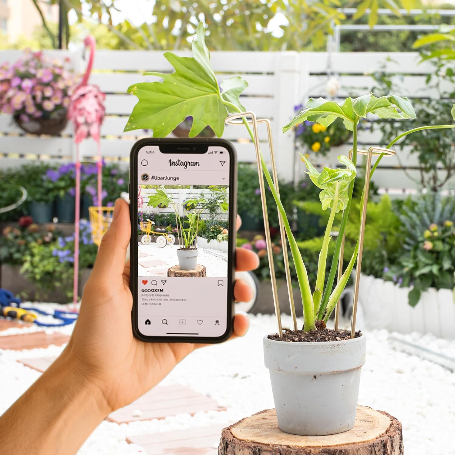 12" Monstera Support - 10 Pcs Plant Support for Indoor Plants | Indoor Plant Trellis & Stakes, Monstera Support Ring