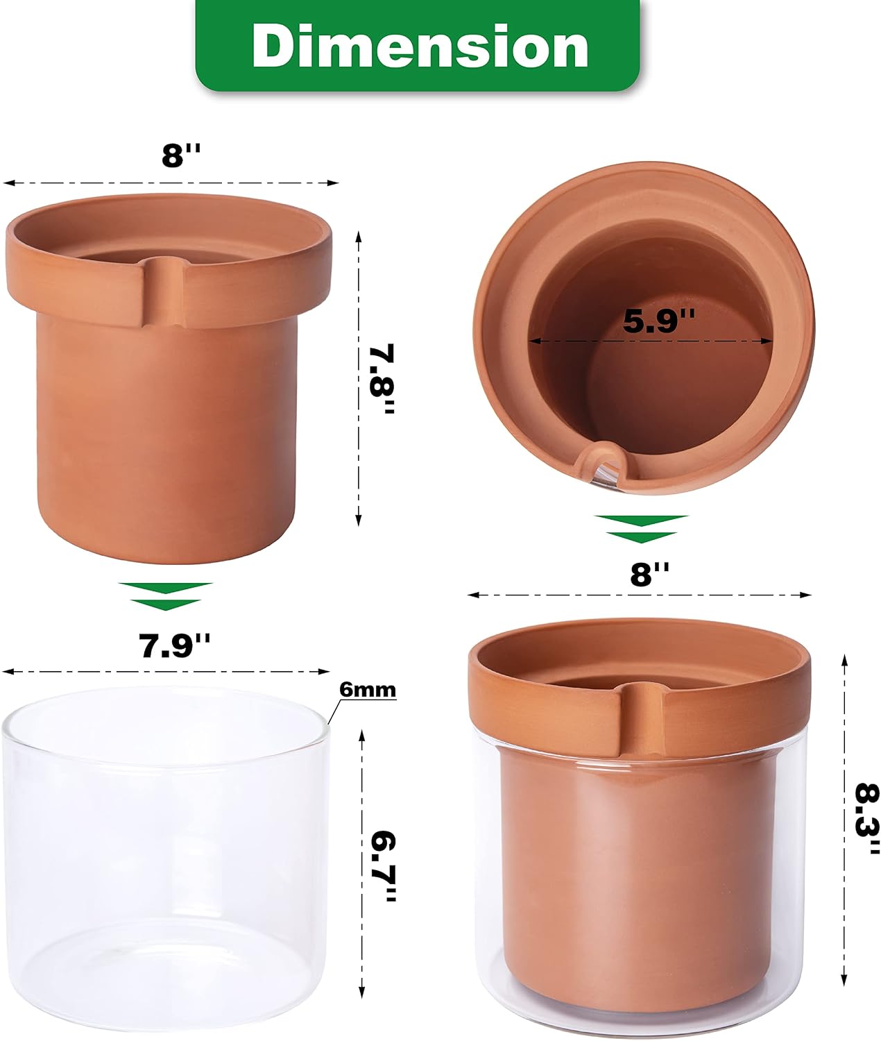 Phoenix Vine 8 Inch Self Watering Planter Pot, Terracotta Clay Pot with Glass Reservoir for Indoor Plants, Herbs