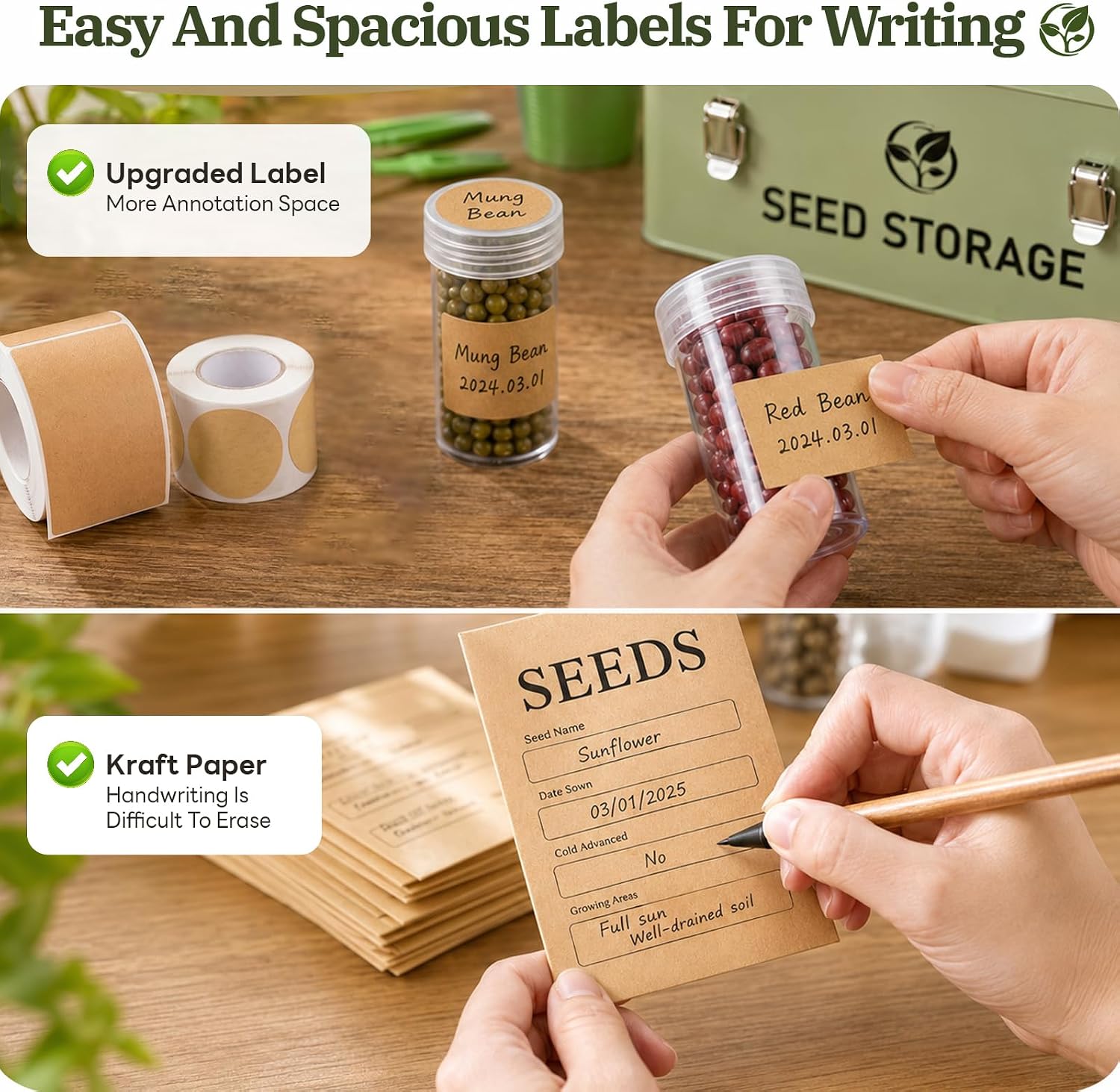 60 Slots Metal Seed Organizer with 3 Compartment Lid & Safety Locks | Seed Storage with 20 Windowed Seed Envelopes