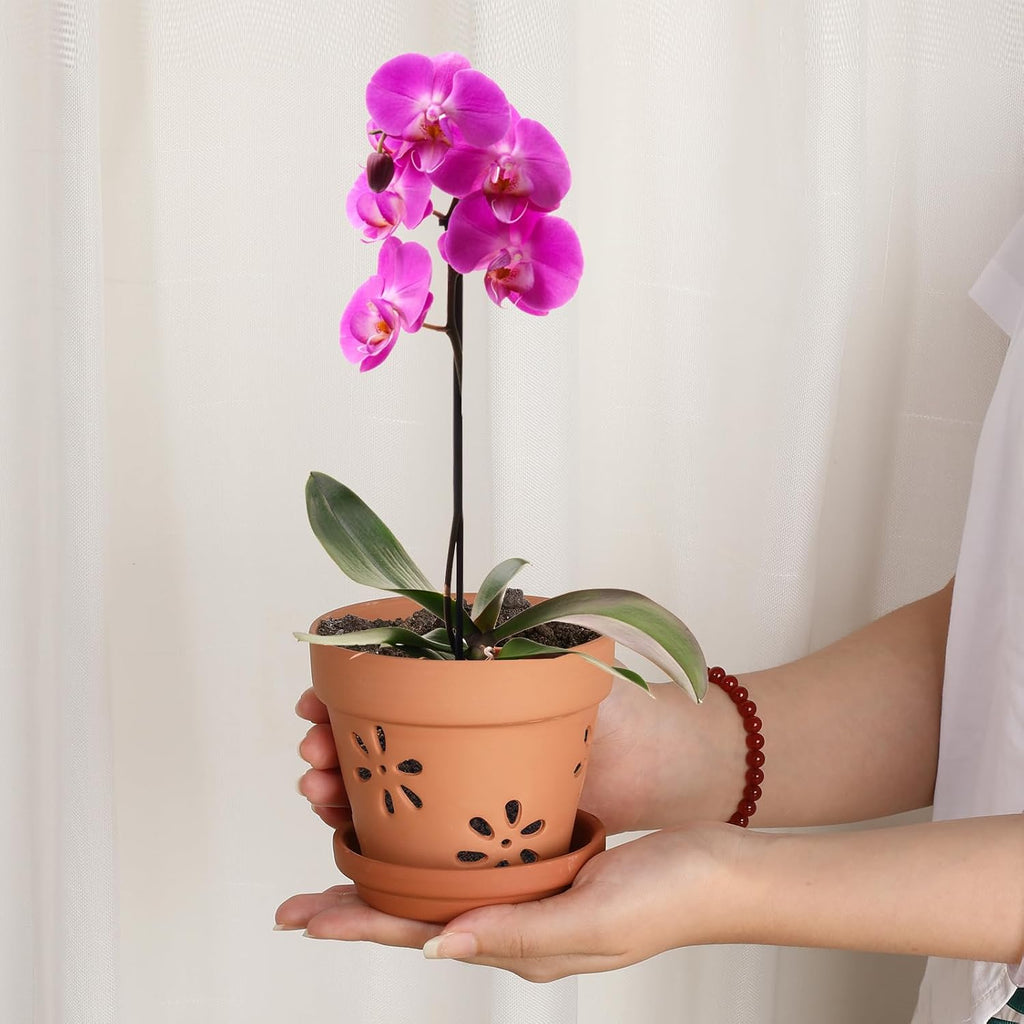 JUXYES Small 4" Hollowed Out Terracotta Orchid Pots with Holes and Saucer | 6 Pack Natural Rustic Clay Planter Pots for