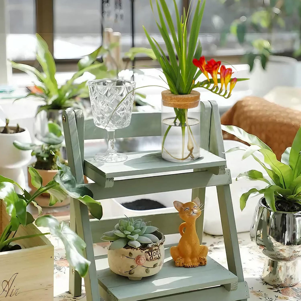 Separated Desktop Glass Flower Vases with Wooden Saucers - Ideal Plants Propagation Stations for Living Room, Bedroom