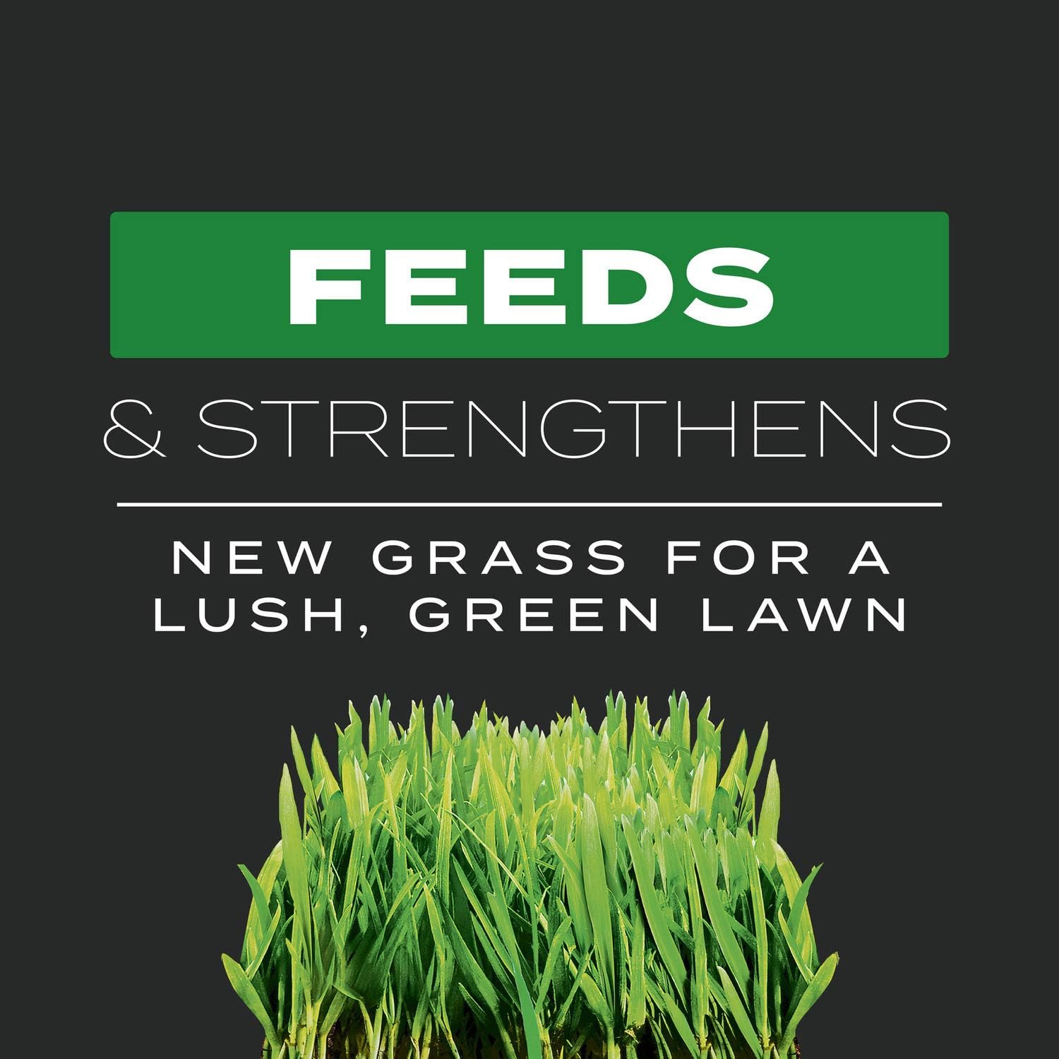 Scotts Turf Builder Triple Action Built for Seeding, 4.3 lbs. | Weed Preventer and Fertilizer for New Lawns, Covers