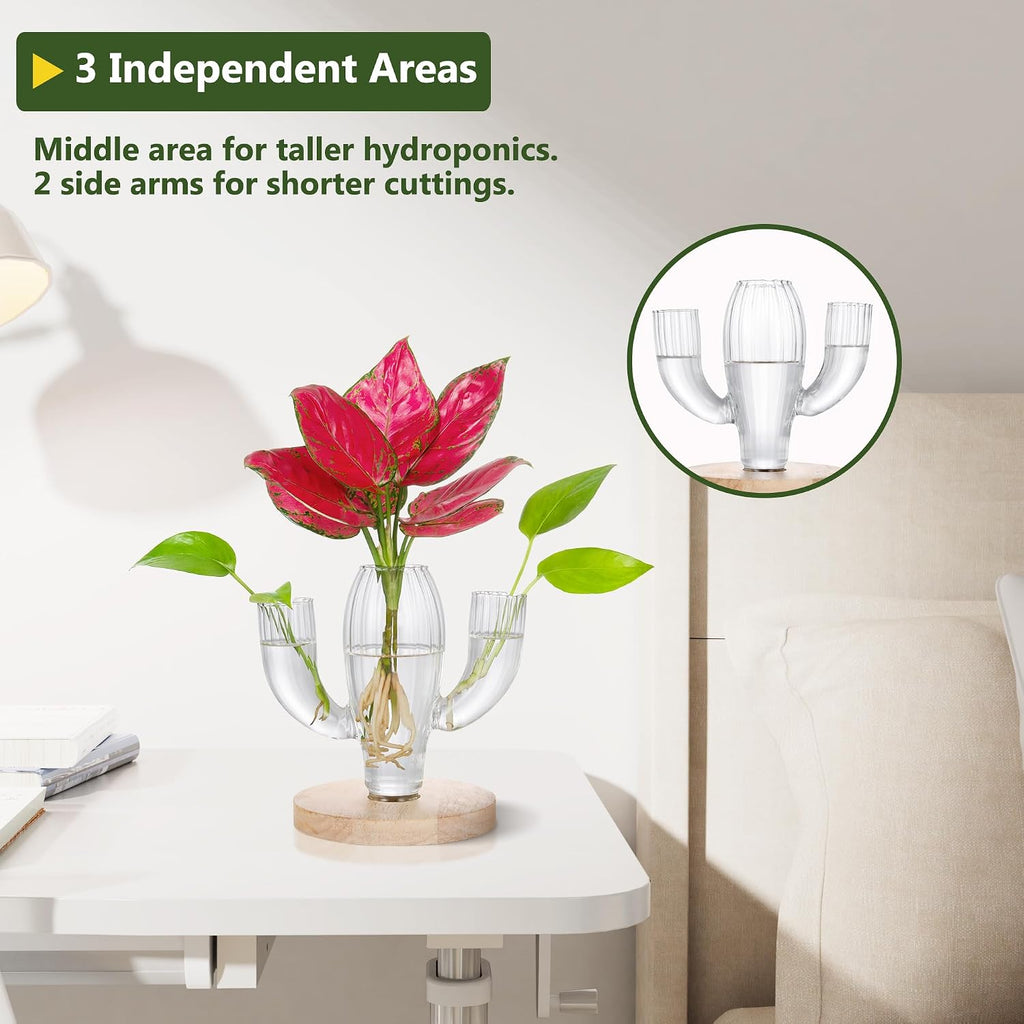 Plant Propagation Stations, Unique Cactus-Shaped Plant Propagating Vase, 3 Independent Areas for Various Plants