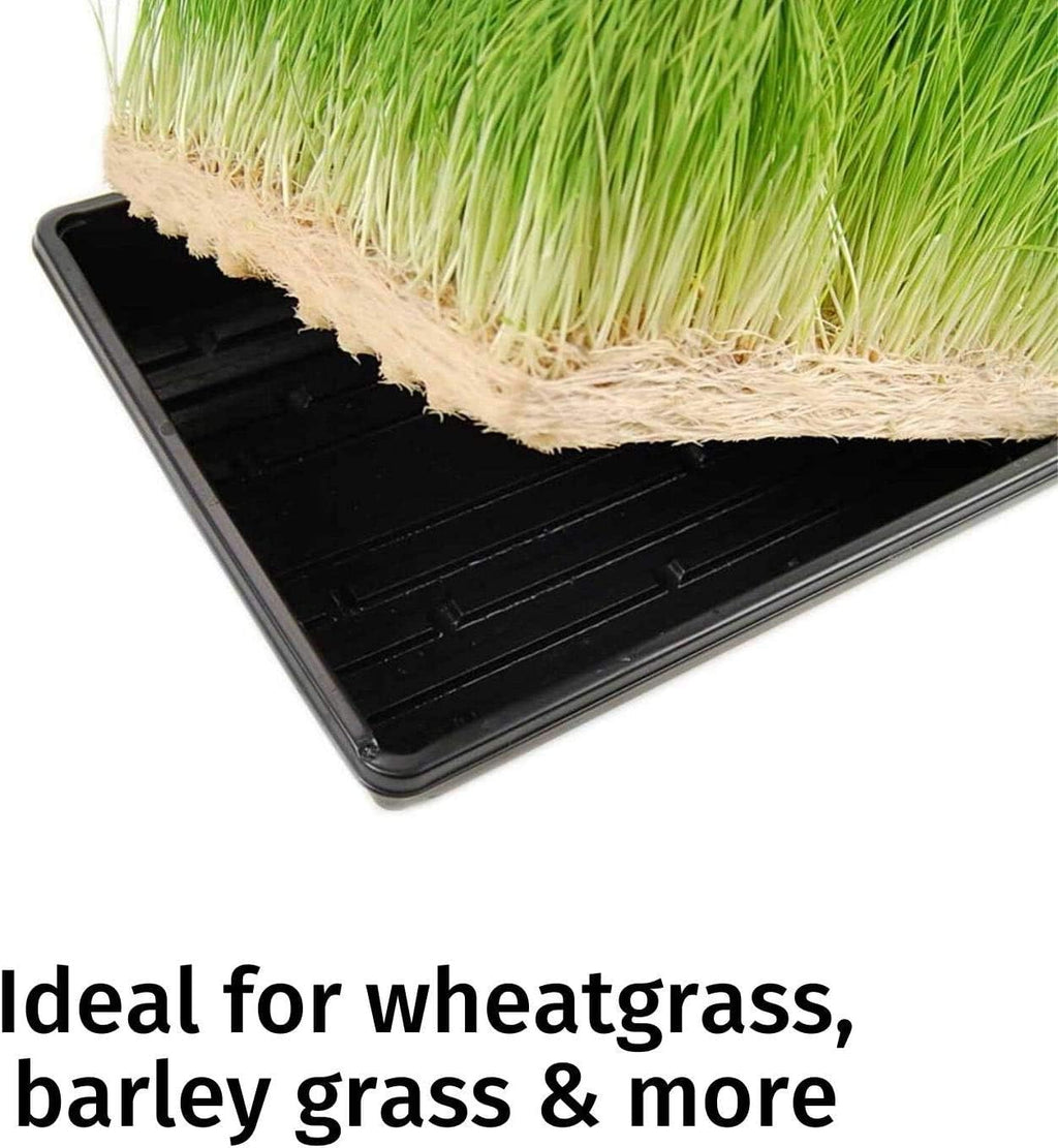 Handy Pantry Micro-Mat Minis Hydroponic Grow Pads - for Organic Production | Plant & Seed Germination: Wheatgrass