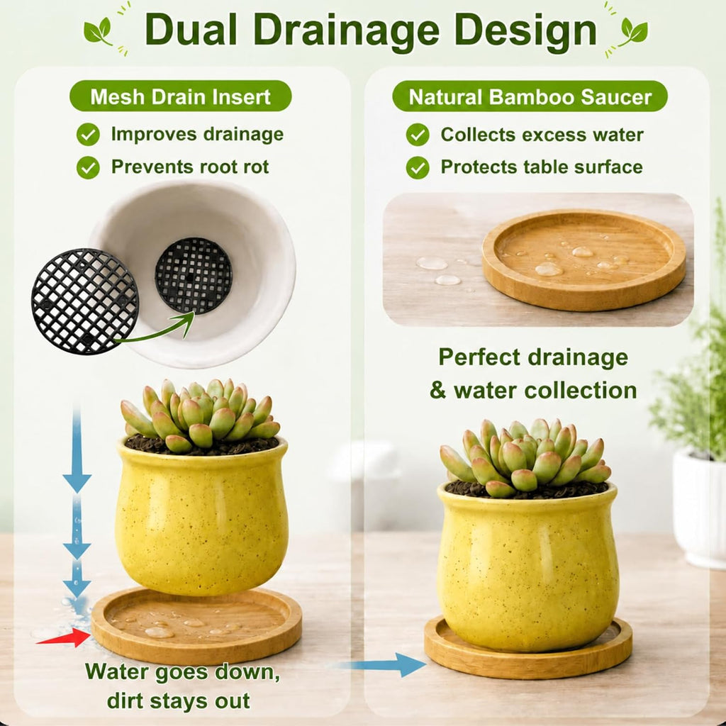 6-Pack 3 Inch Ceramic Succulent Pots with Bamboo Tray for Home Decor | Includes decorative stickers and cards creating