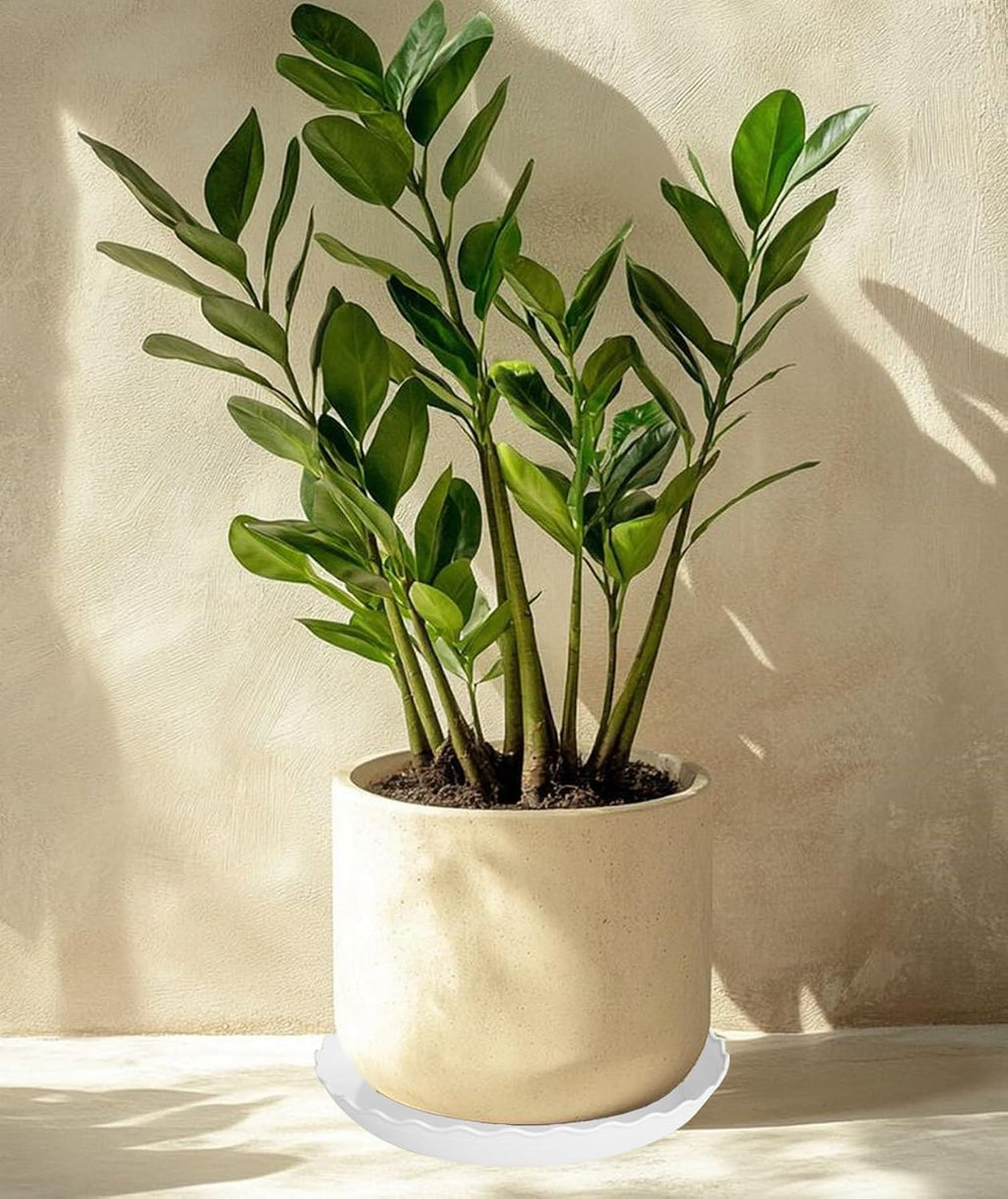 4 Pack of 14 inch Plant Saucer, Plastic Plant Saucer 14 inch, Heavy Duty Plant Tray for Pots, Plant Saucers for Indoors