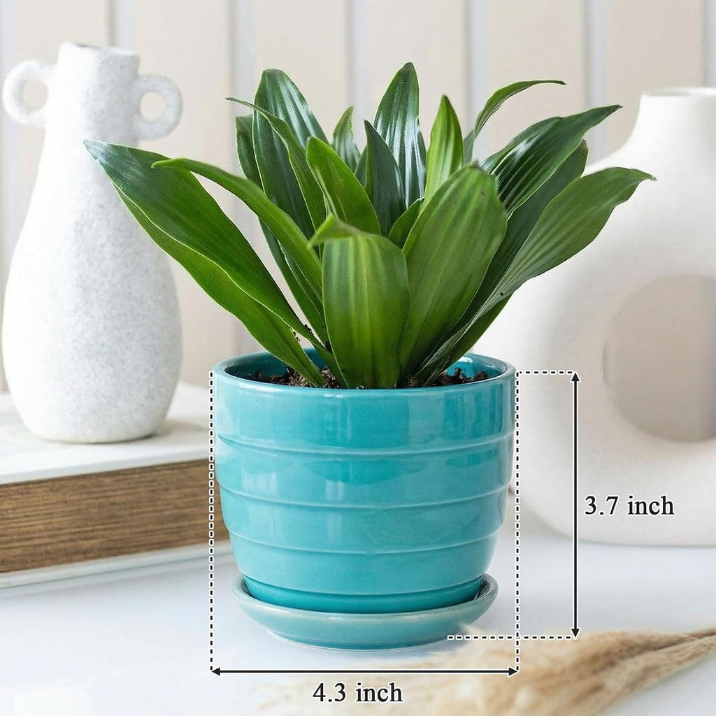 Elsjoy 6 Pack 4.3 Inch Ceramic Succulent Pots with Drainage and Attached Saucer, Small Decorative Succulent Planter