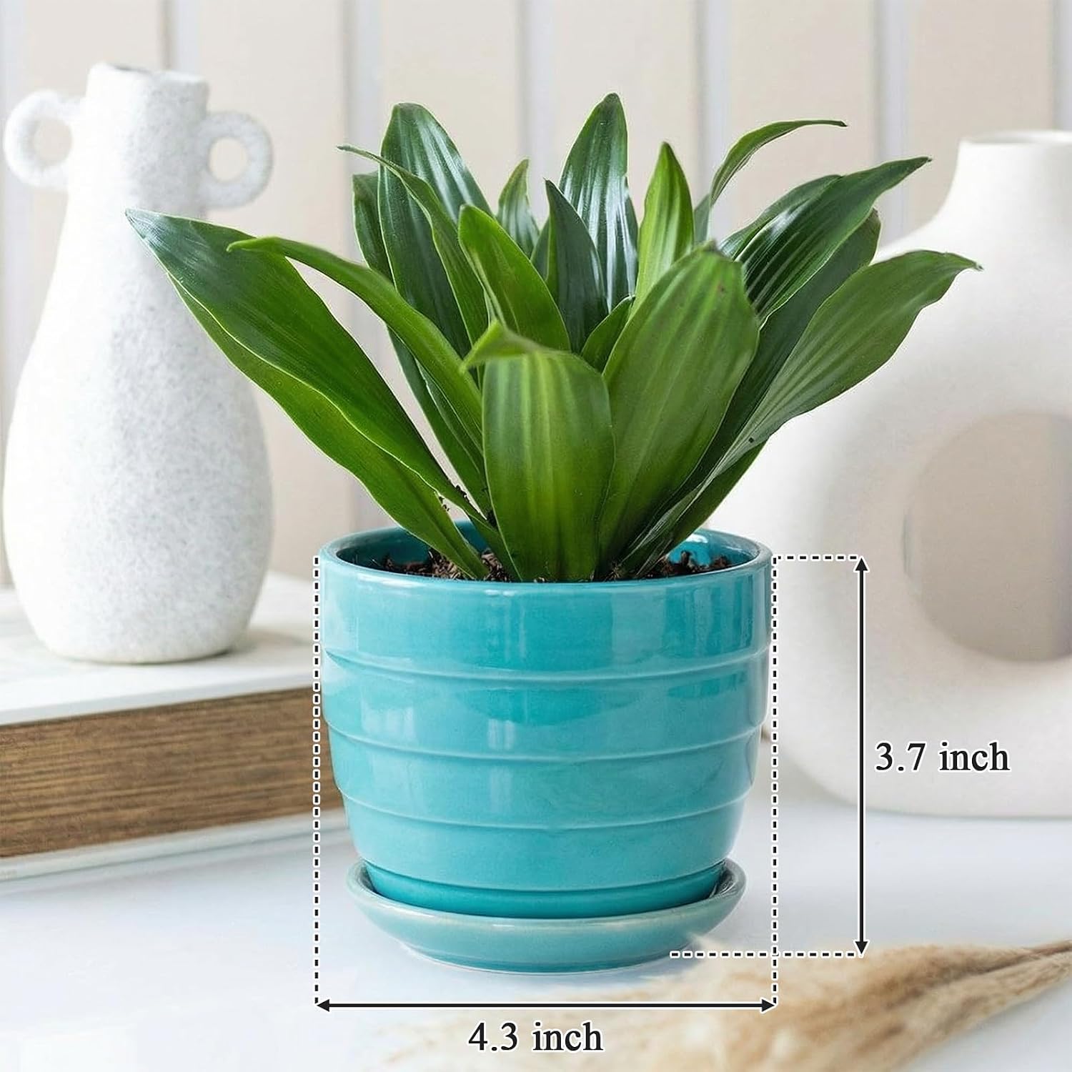 Elsjoy 6 Pack 4.3 Inch Ceramic Succulent Pots with Drainage and Attached Saucer, Small Decorative Succulent Planter