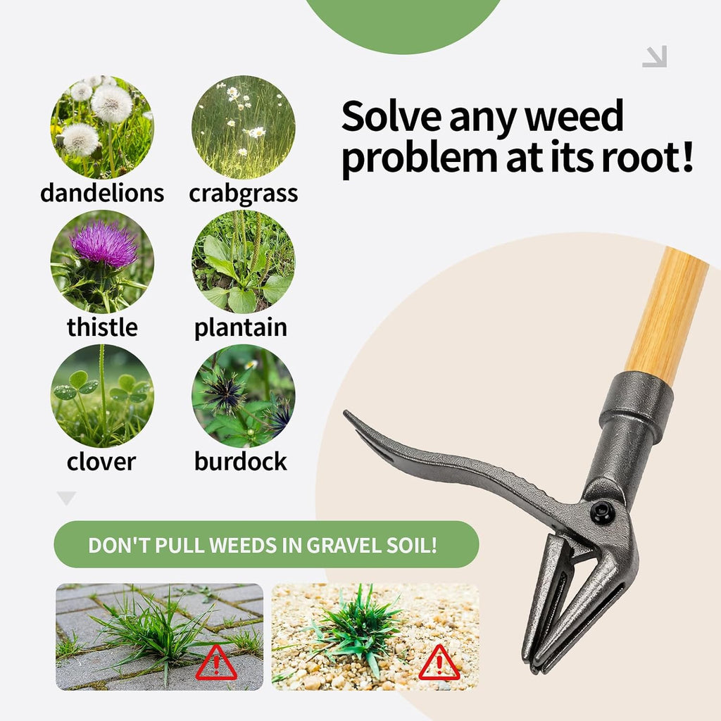 Weed Puller Tool, 44" Stand Up Heavy Duty Root Removal Garden Tools with 4 Claw Steel Head, Made with Real Bamboo &