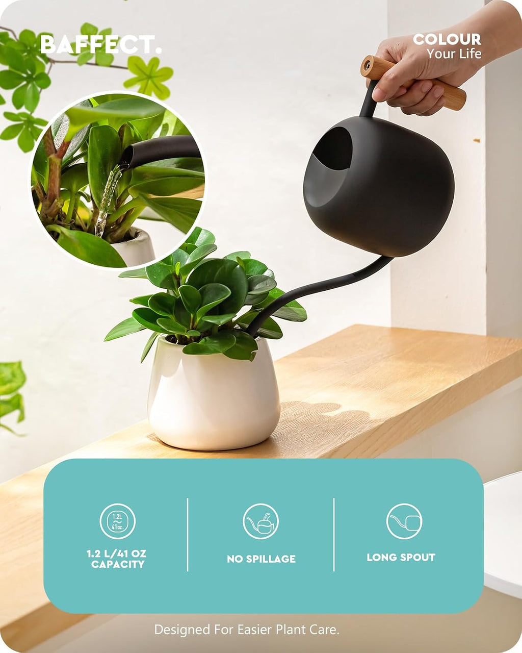Baffect Indoor House Plants Watering Set for Bonsai, Orchid | Include Balck Metal Long Spout Watering Can (41oz) & Dark