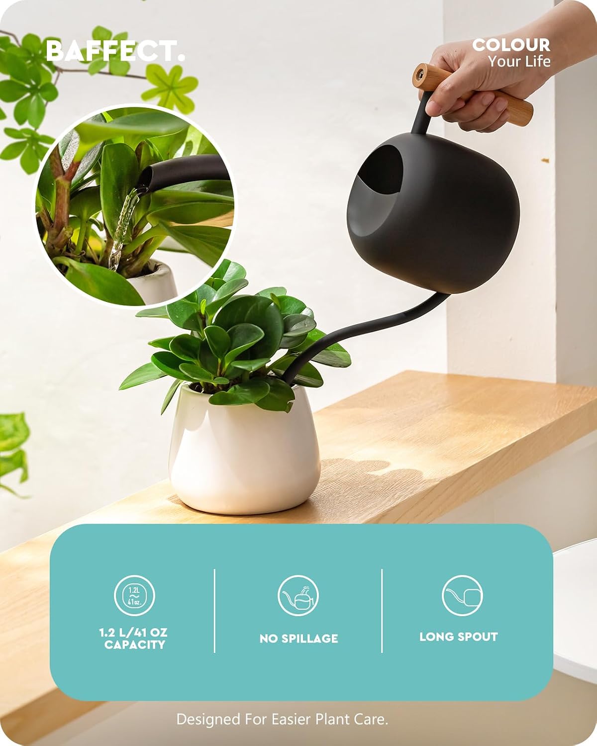 Baffect Indoor House Plants Watering Set for Bonsai, Orchid | Include Balck Metal Long Spout Watering Can (41oz) & Dark