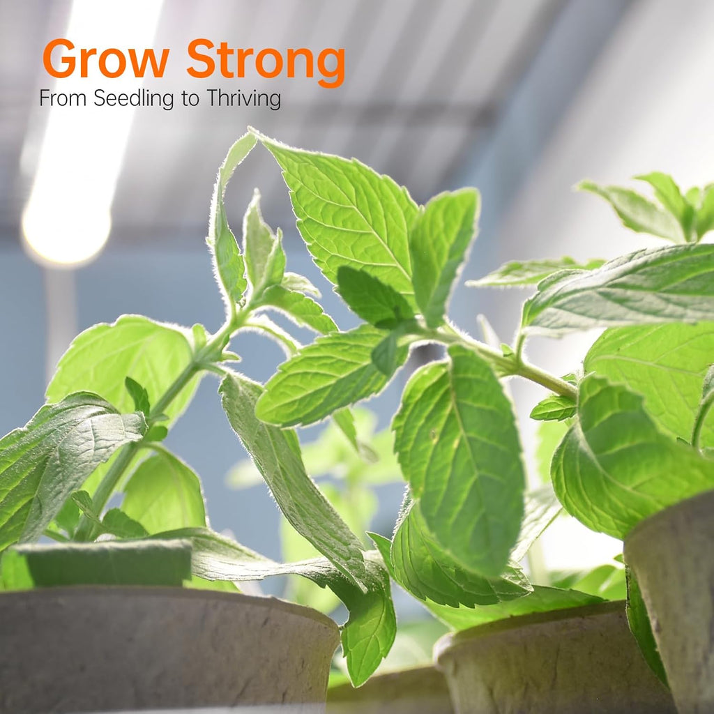 Indoor Greenhouse with Grow Light, 4x20W Plant Lights with Timer | Plant Shelf with Tent, 27.2x19.9x61.8in, Ideal for
