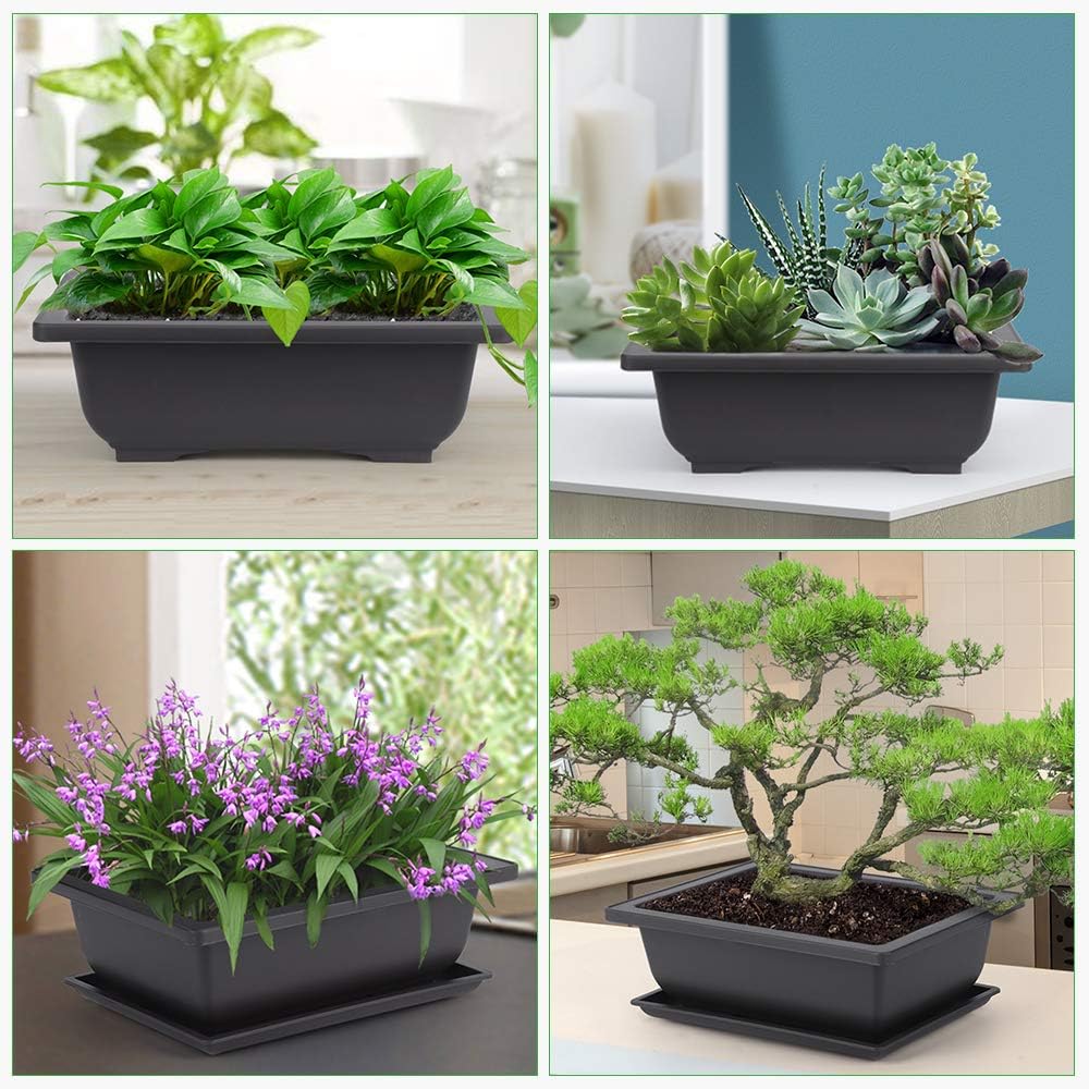 GROWNEER 6 Pack 9 Inch Bonsai Pots with Drainage Humidity Trays, Bonsai Tree Training Pot with 1 Repotting Mat