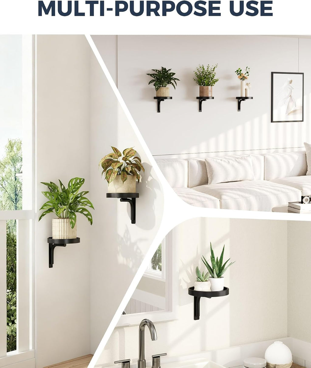 Bamworld Wall Plant Holder indoor Metal Plant Wall shelf 3 Pcs Wall Mounted Plant Holder Plant Hangers for Indoor