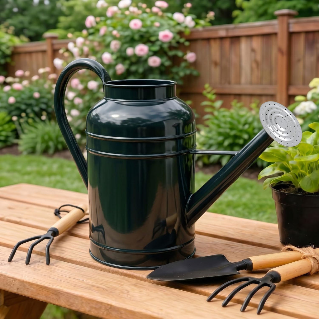 2.3 Gallon Dark Green Metal Watering Can for Plants and Garden with Removable Spout, Made of Galvanized Iron