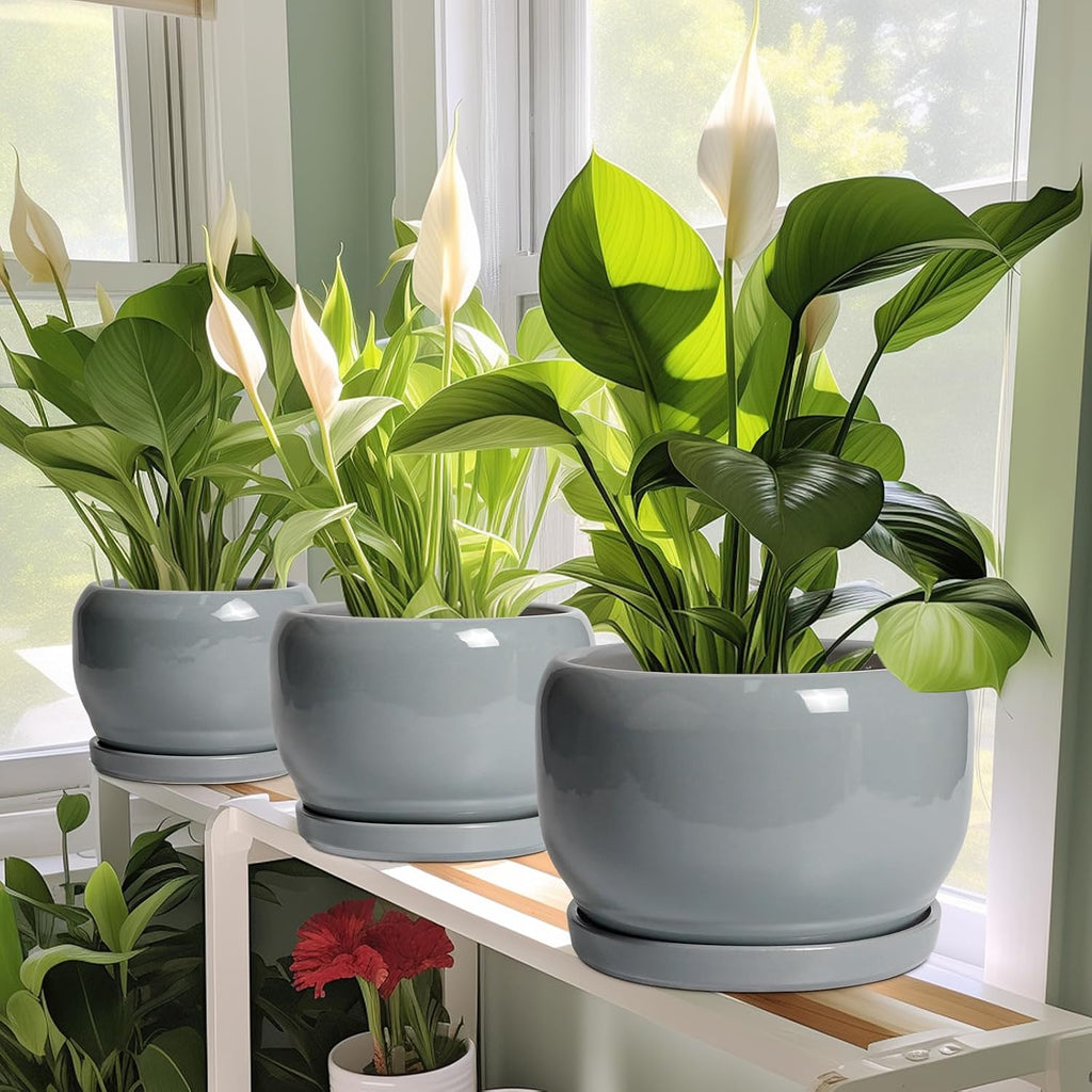 SQOWL Ceramic Pot for Plants - 8 Inch Plant Pot Indoor with Drainage Hole and Saucer, Round Planter Outdoor, Decorative