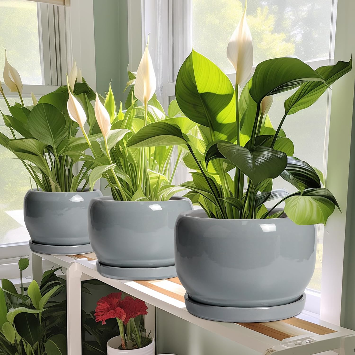 SQOWL Ceramic Pot for Plants - 8 Inch Plant Pot Indoor with Drainage Hole and Saucer, Round Planter Outdoor, Decorative