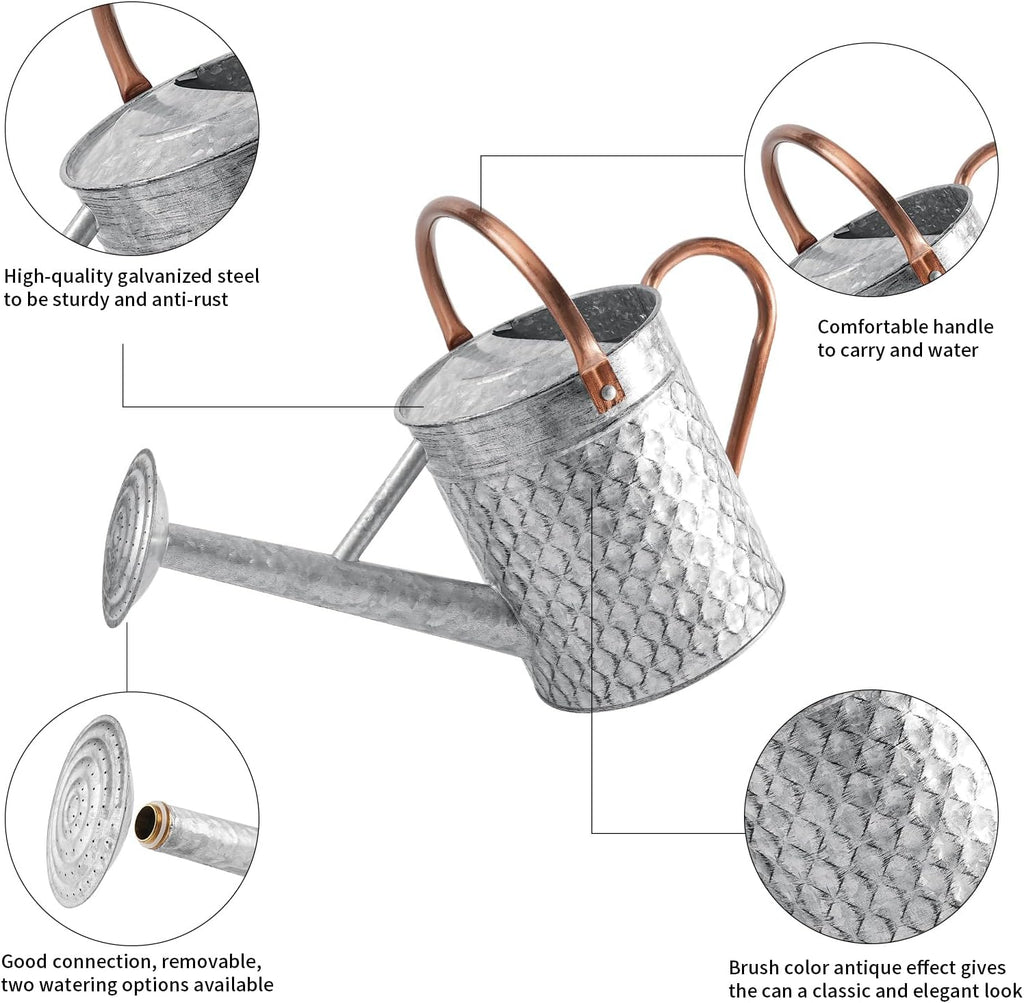 1 Gallon Metal Watering Can for Outdoor Indoor Plants, Galvanized Watering Can with Removable Spray Spout, Ideal for