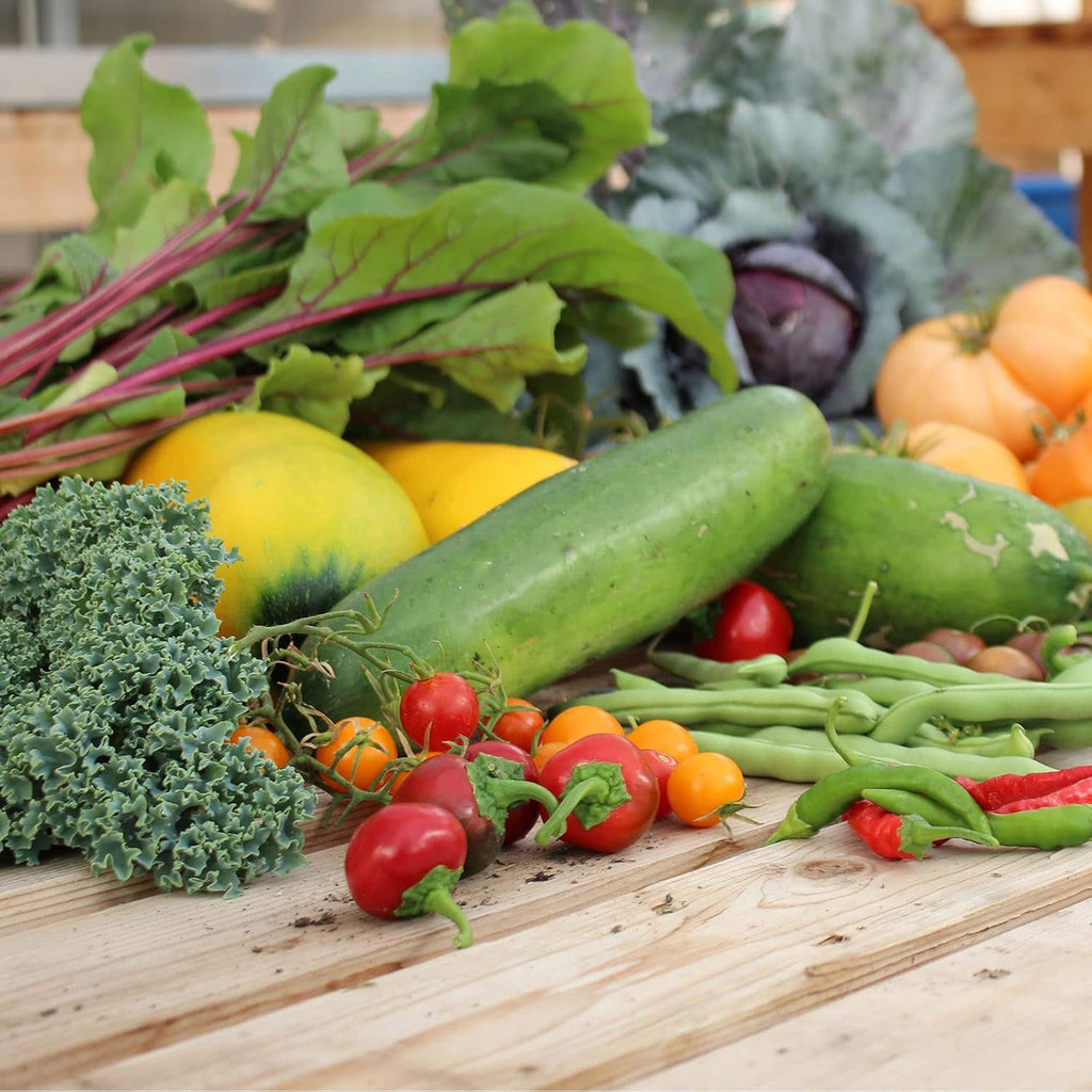 Mountain Valley Seed Co Vegetable Garden Can 50,000+ Seeds 16 Varieties | Long-Term Storage, Emergency Supply