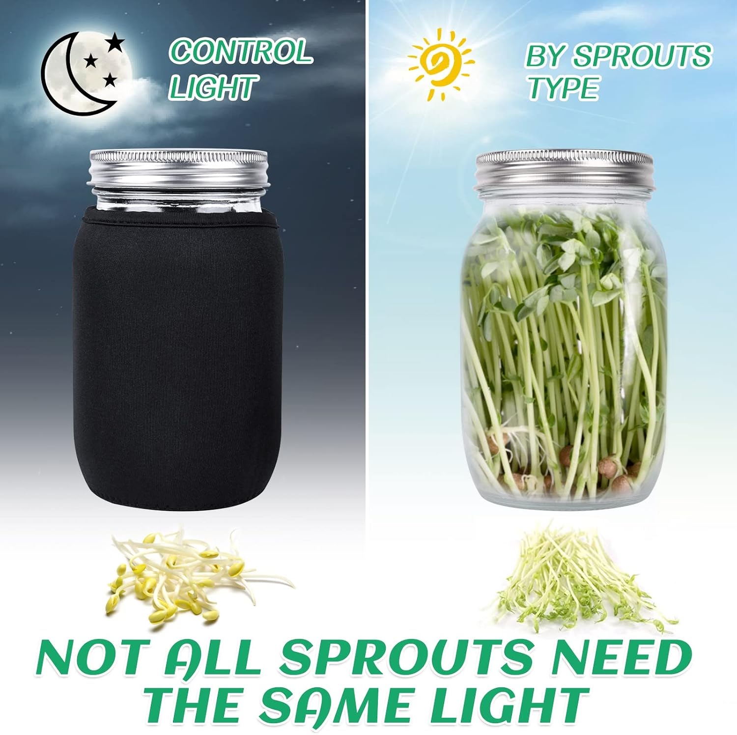 Kikerike Seed Sprouting Jar Kit with 2 Wide Mouth Mason Jars Bean Sprouts Growing Kit Microgreens Growing Jar with Mesh