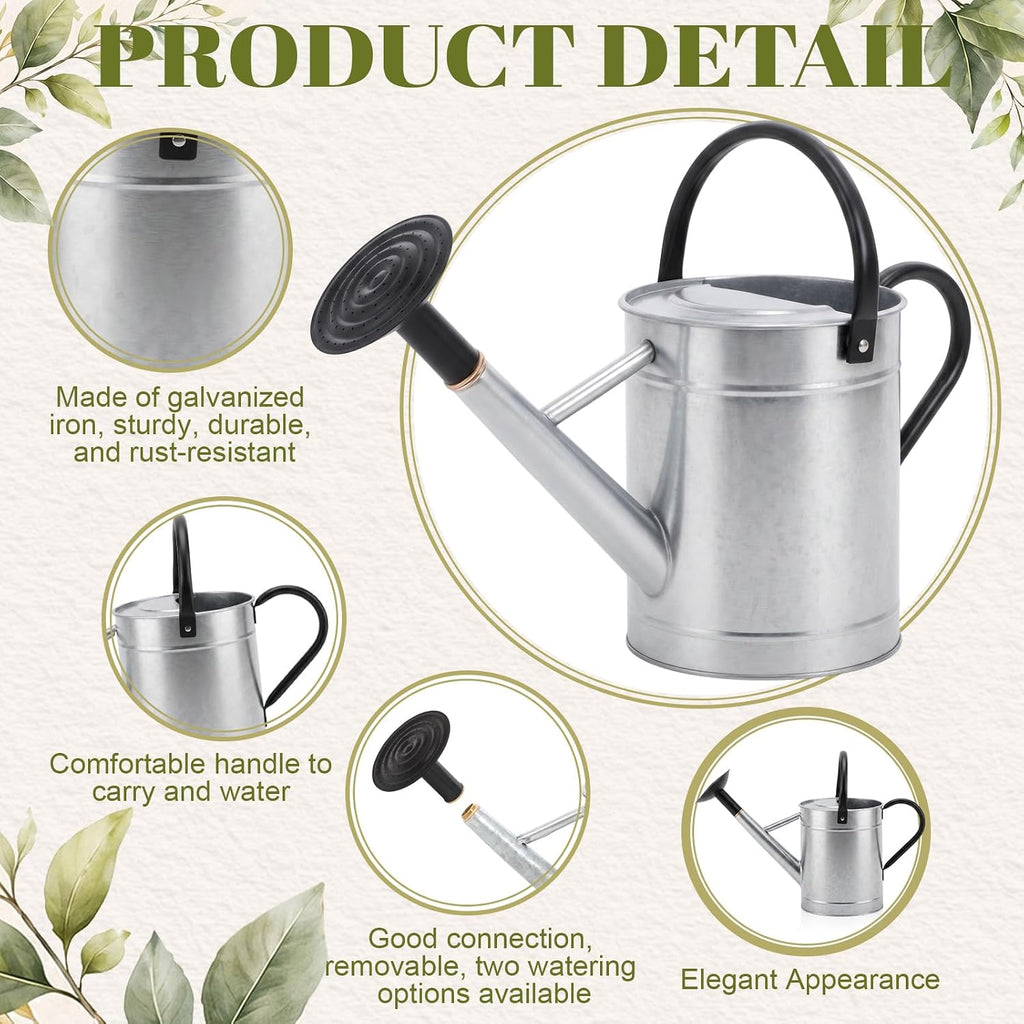4 Pcs 1 Gallon Metal Watering Can for Indoor Outdoor Plants, Galvanized Garden Water Can with Long Spout and Dual