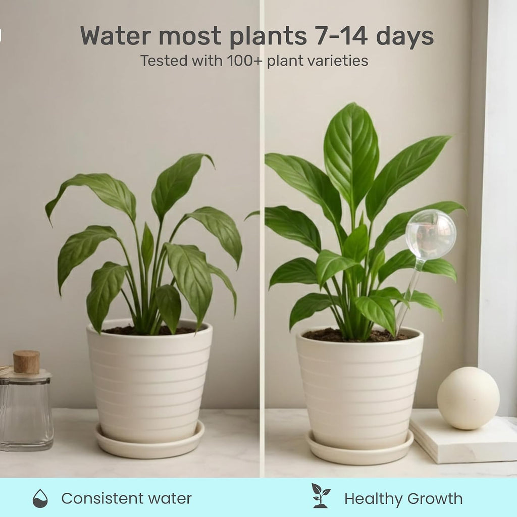 Little Green Leaf Automatic Plant Watering Globes Self Watering Planter Inserts (Set of 6) | Hands Free Clear Glass