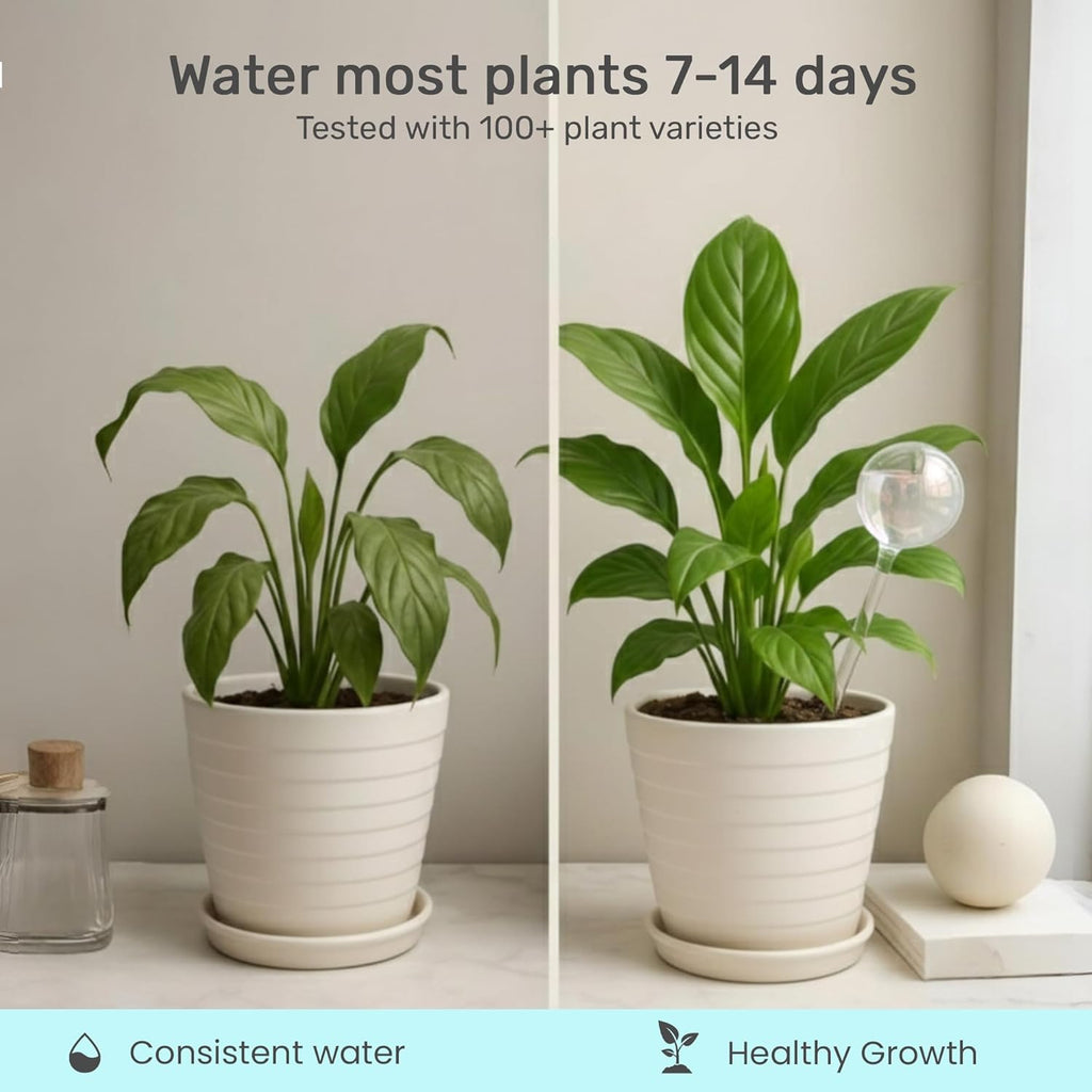Little Green Leaf Automatic Plant Watering Globes, Self Watering Planter Inserts (Set of 10) | Clear Plastic Bulbs | 6