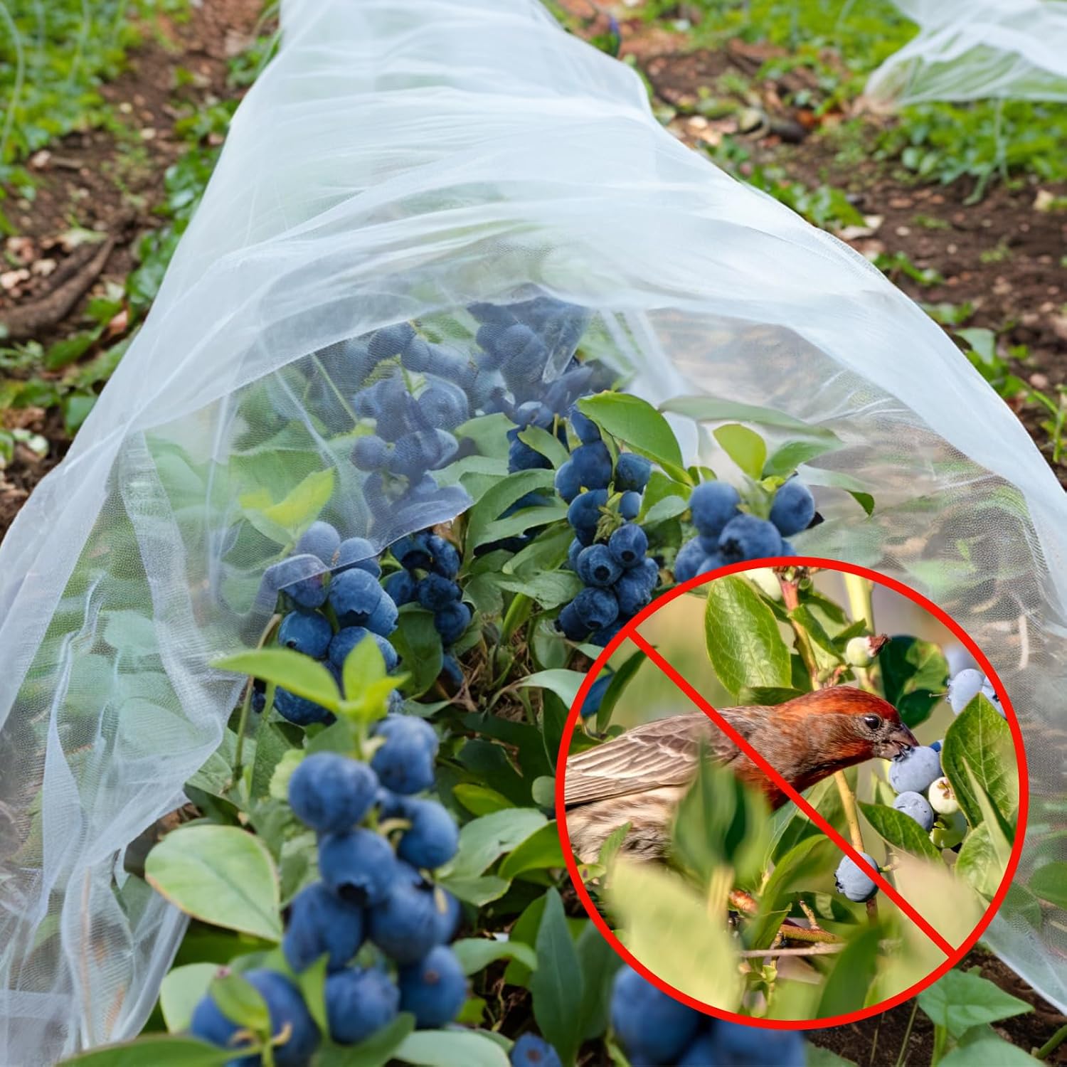 GonLei Garden Netting 10 X 100 FT Ultra Fine Netting for Garden Protection,Garden Netting for Raised Beds,Mosquito Net