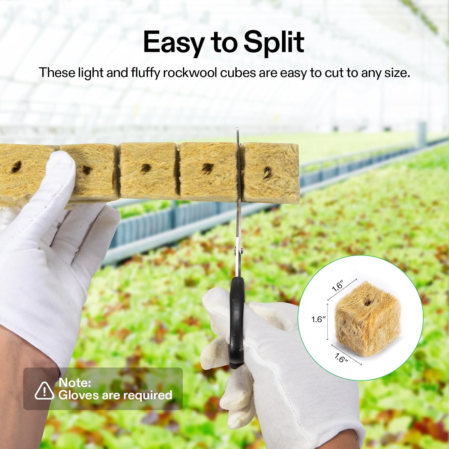 VIVOSUN 1.6" Rockwool Cubes, 8 Sheets of 224 Plugs Stonewool Starter | for Cuttings, Clone, Plant Propagation, Seed