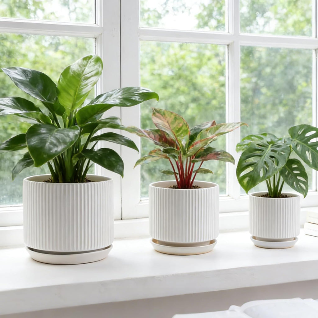 Ceramic-Flower-Pots-Sets-with-Saucer, 5/6/8 inch Small Planters for Indoor Plants with Drainage Hole, White Vertical