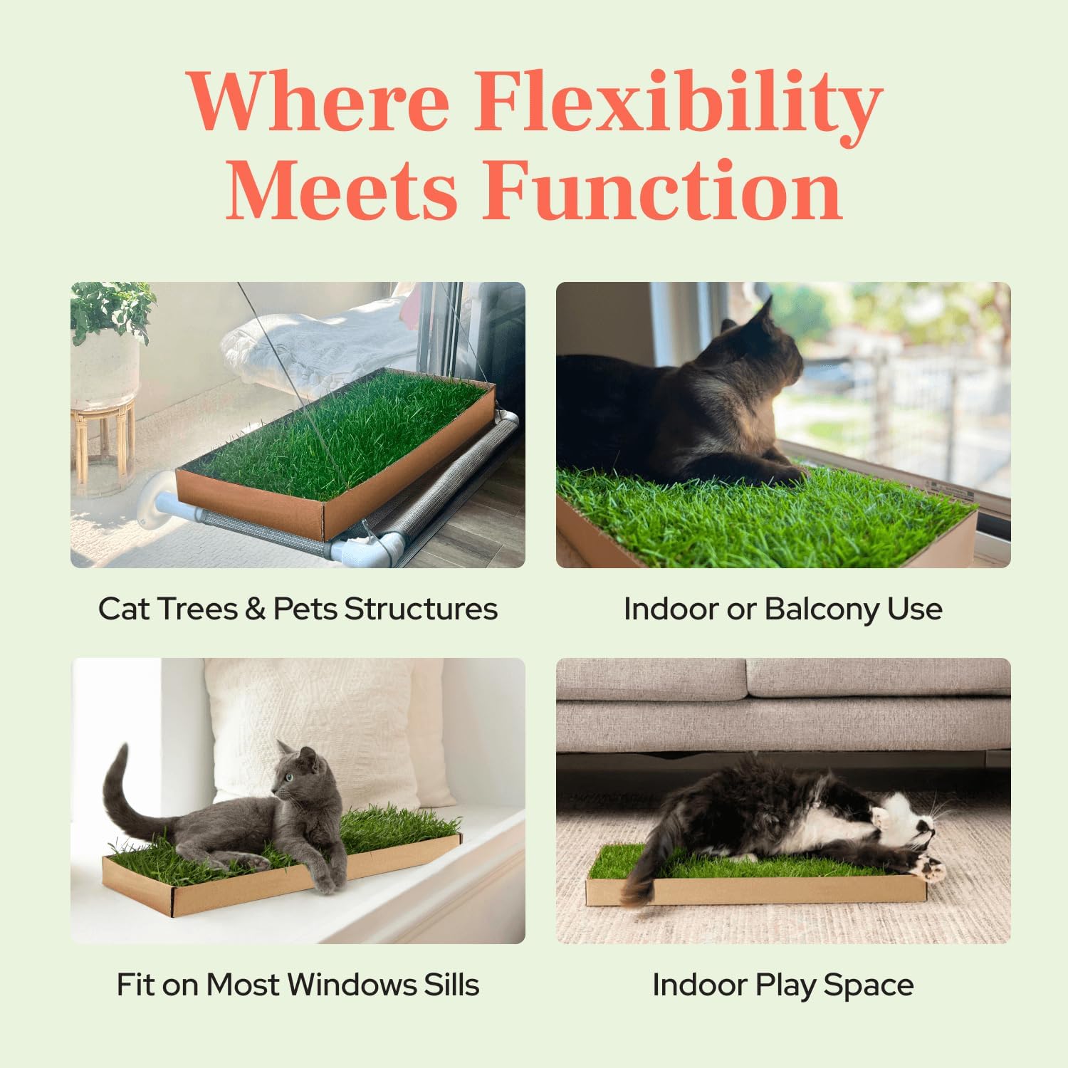 Kitty Lawn Real Grass Cat Lounger & Bed - Natural Grass Pad for Cats 24x9 | USA-grown real grass lounging pad for