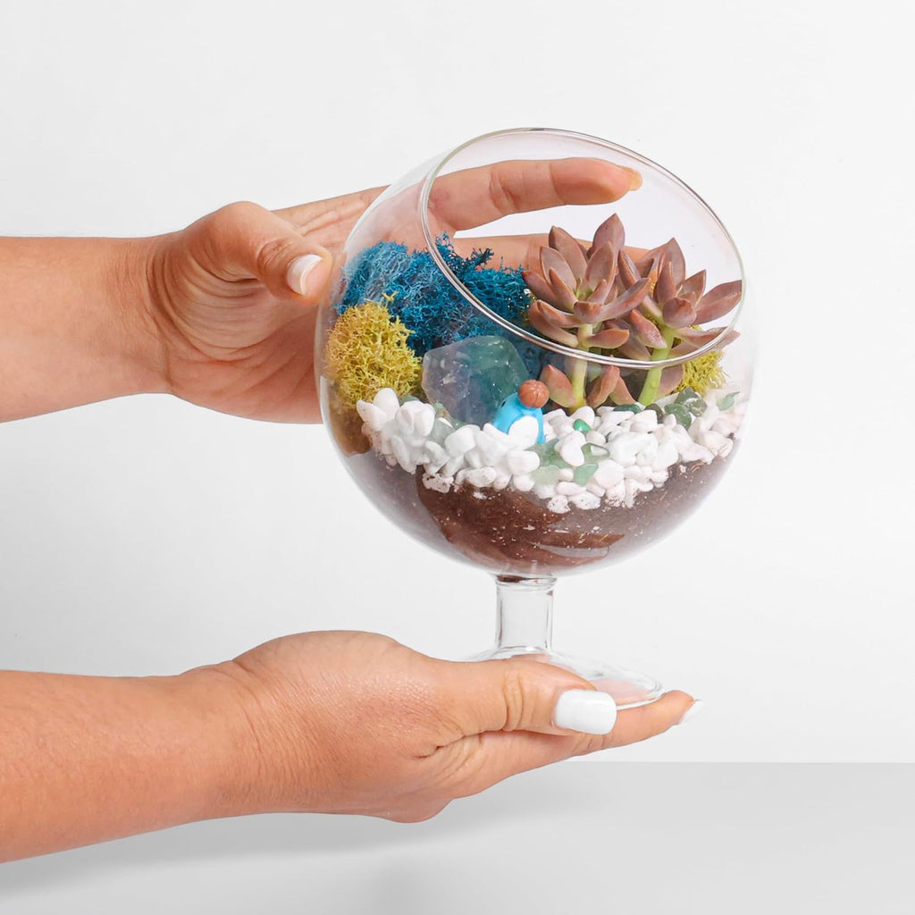 Creations by Nathalie DIY 6" Chalice Terrarium Kit Build Your Own Glass Terrarium for Adults & Teens, DIY Terrarium Kit