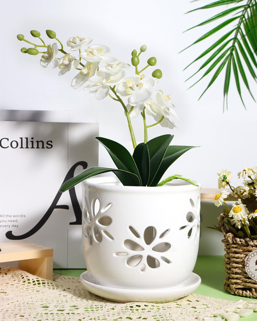1 Pack 6 Inch White Ceramic Orchid Pot with Holes and Saucer | White Ceramic Planter for Orchid Repotting, Flower Pot
