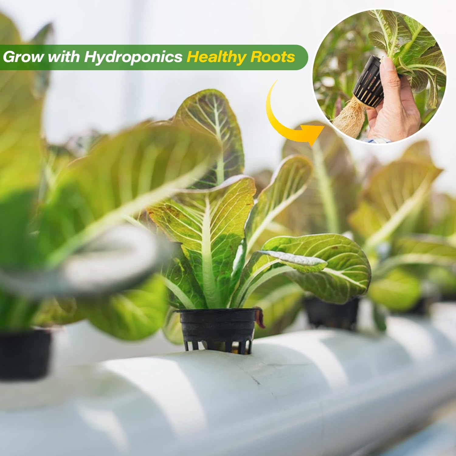 2 Inch Net Pots for Hydroponics 100 Pack Net Cups Hydroponic Baskets | 2 Inch 100 Pack Heavy Duty Mesh Hydroponic Net